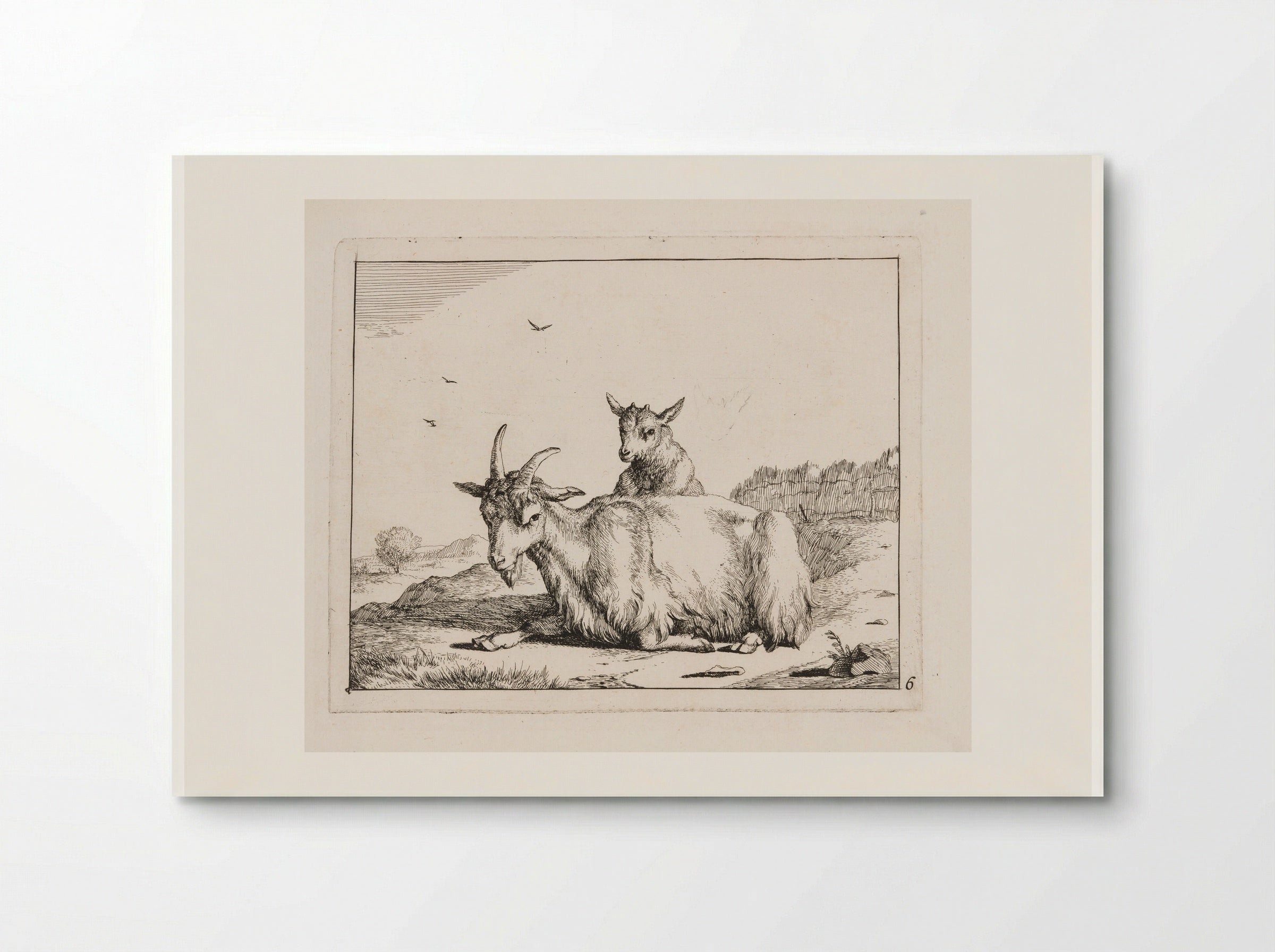 Recumbent Goat with a Kid - Marcus de Bye - Poster