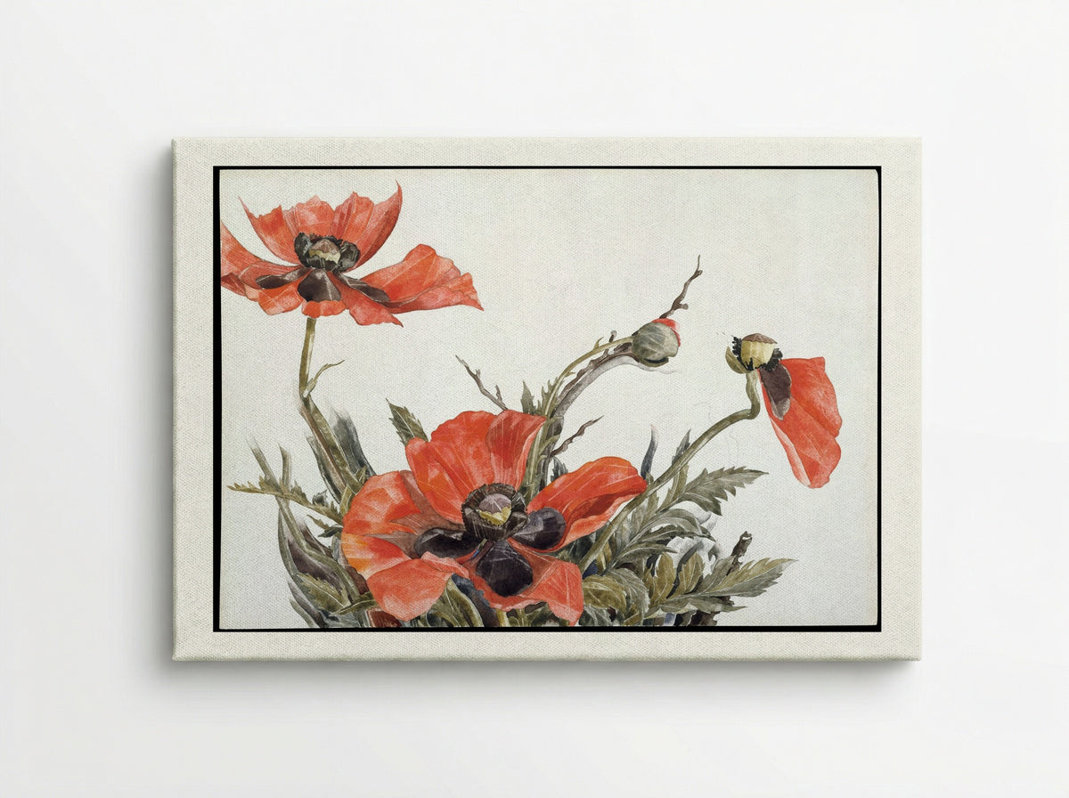 Red Poppies - Charles Demuth - Canvas