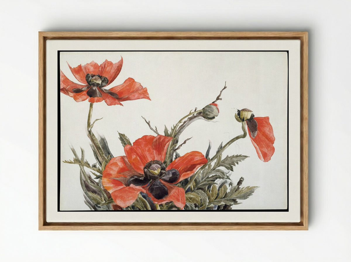 Red Poppies - Charles Demuth - Framed Canvas Wood