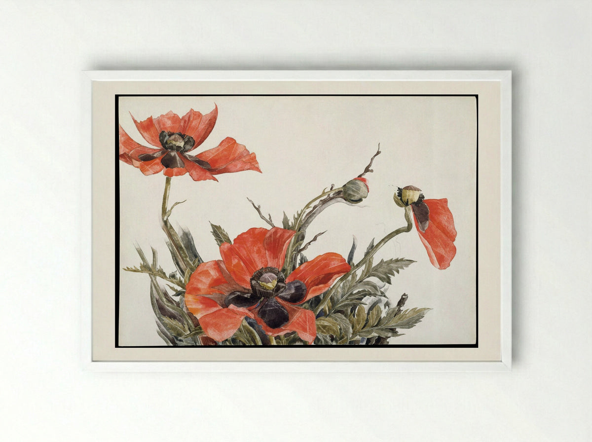 Red Poppies - Charles Demuth - Framed Print White