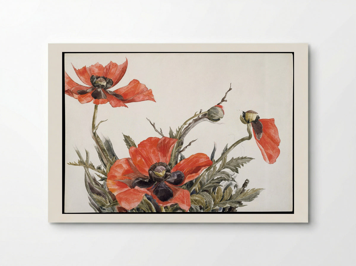Red Poppies - Charles Demuth - Poster