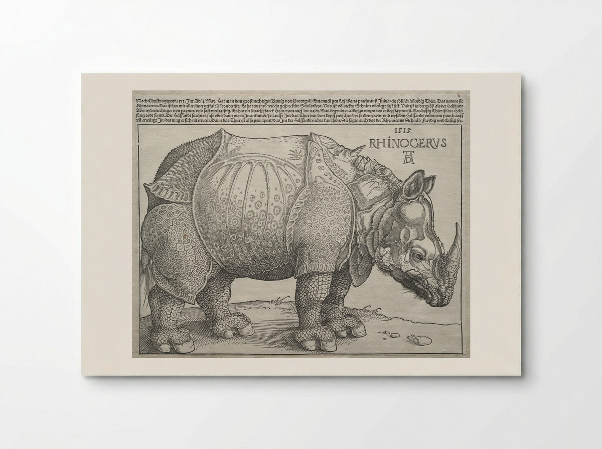 Rhinoceros - Albrecht Dürer - Poster