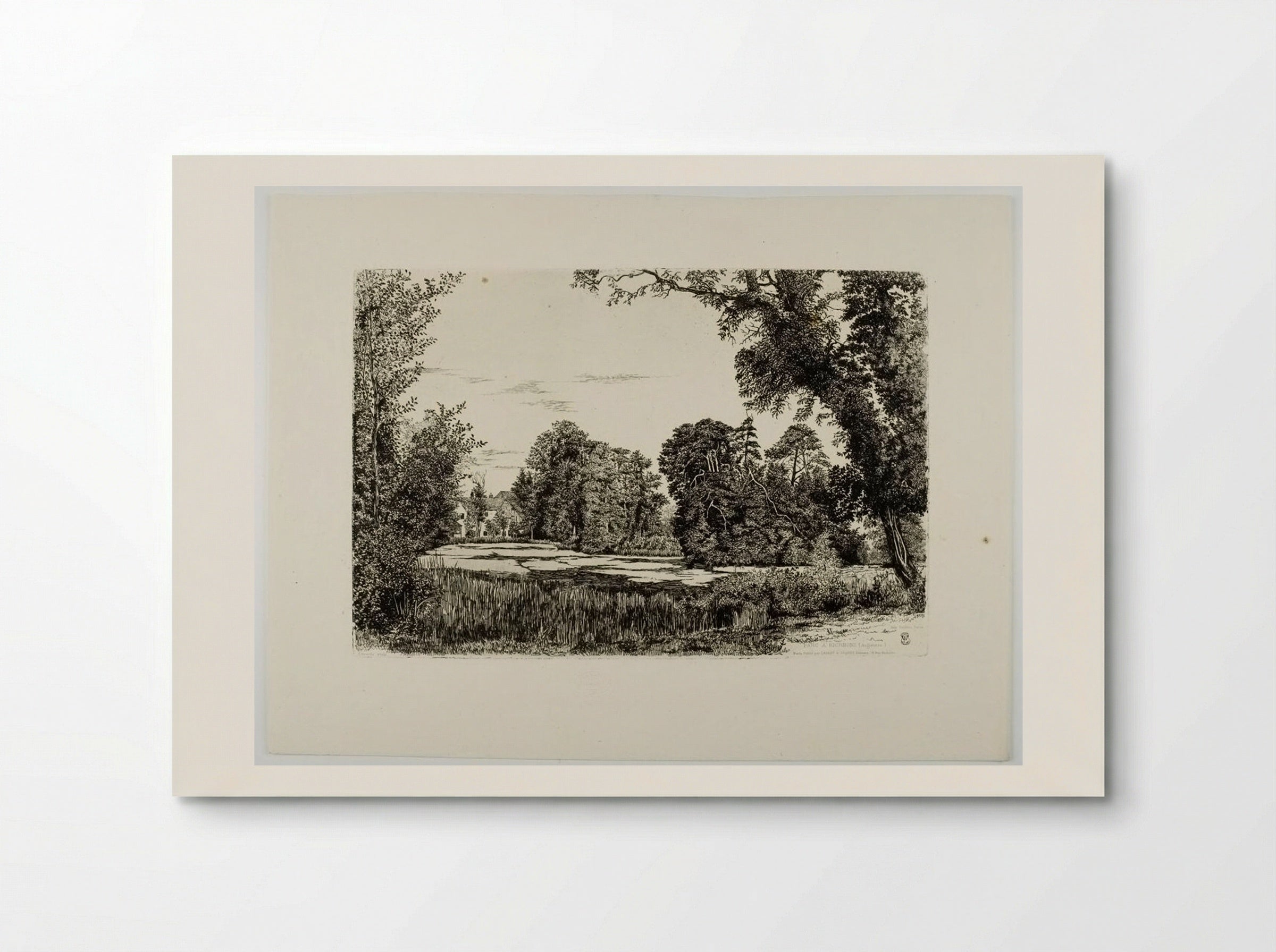 Richmond Park - Edwin Edwards - Poster