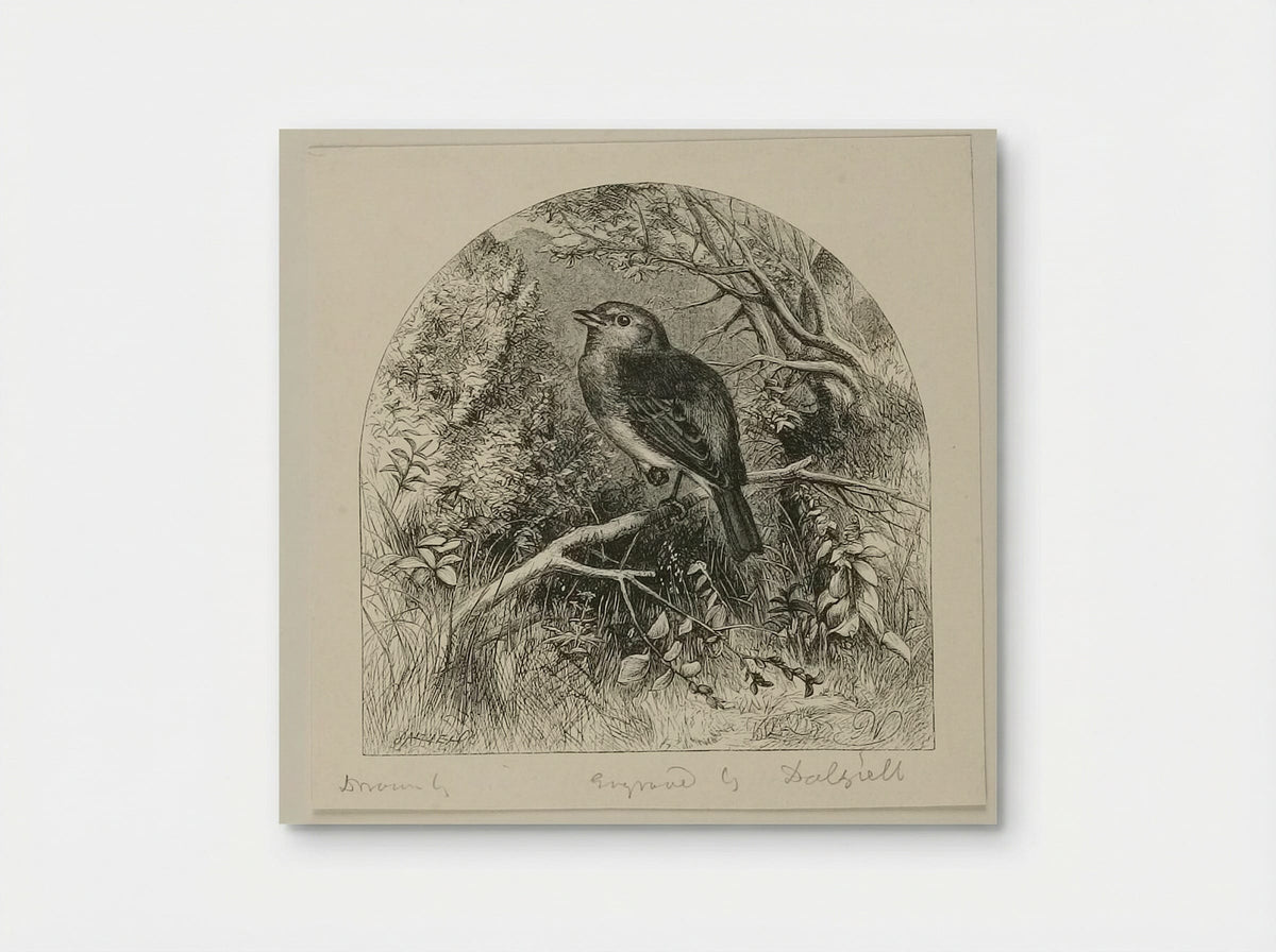 Robin - Edward Dalziel - Poster