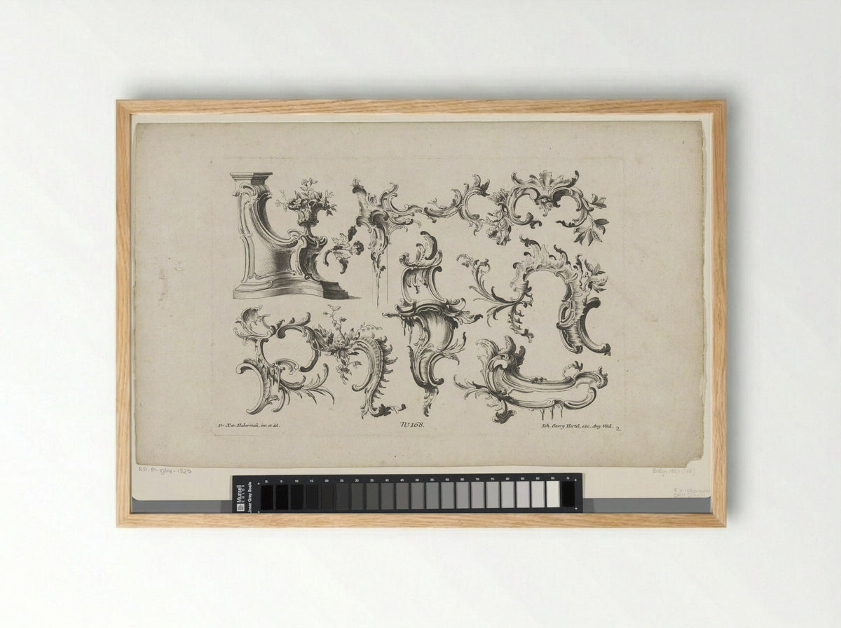 Rocailles (Ornamental Design) - Georg Leopold Hertel - Framed Print Wood