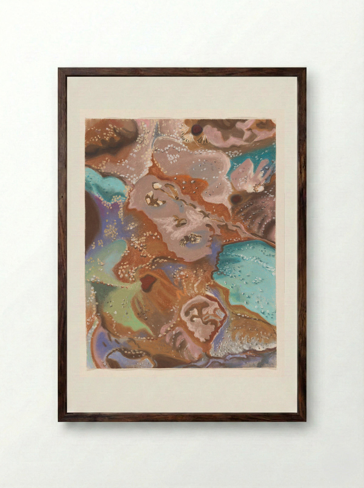 Rockpool - Jacobien de Rooij - Framed Print Dark Wood