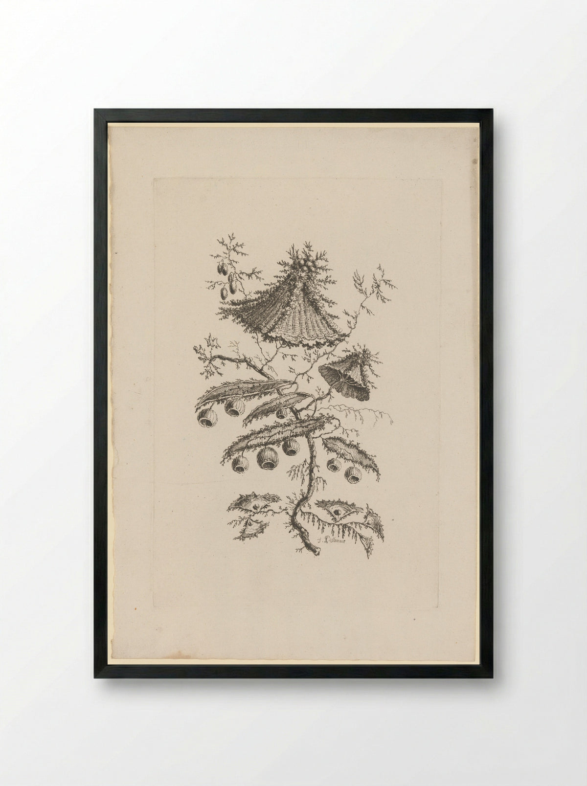 Ronde en driehoekige bloemen - Charles Leviez - Framed Print Black