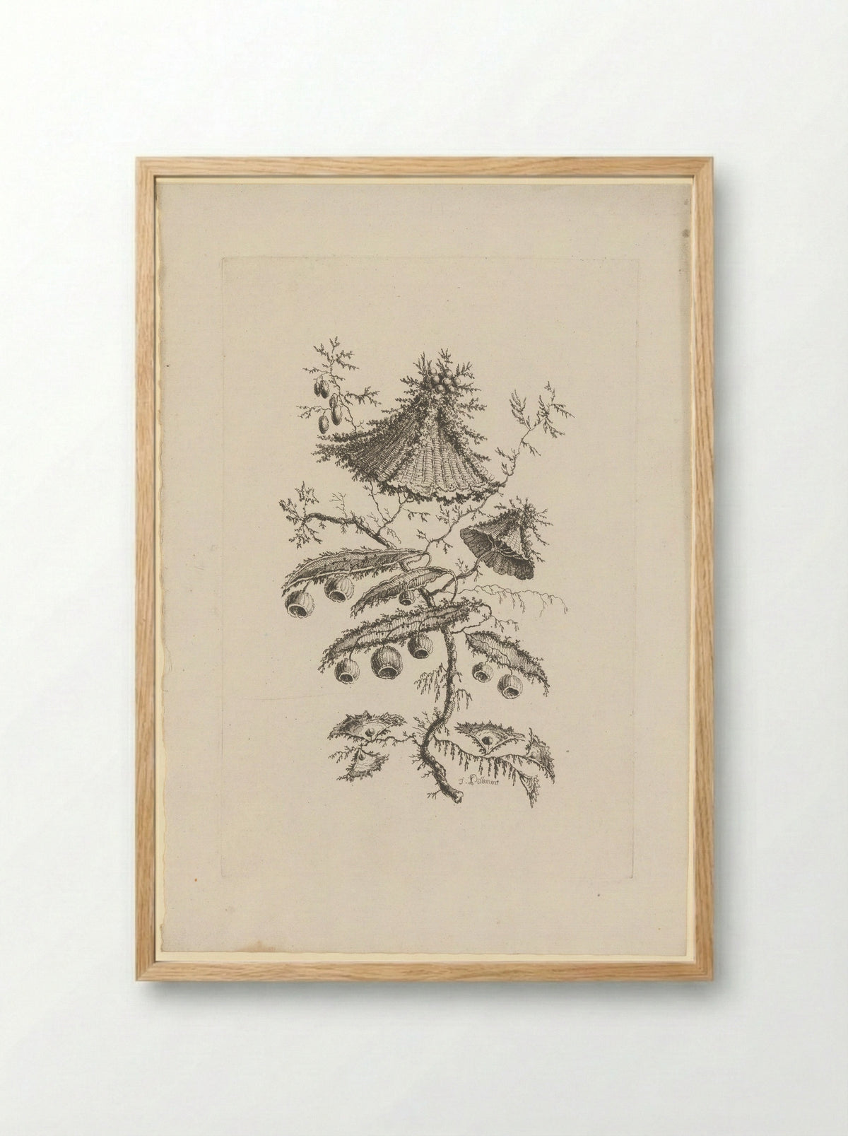 Ronde en driehoekige bloemen - Charles Leviez - Framed Print Wood