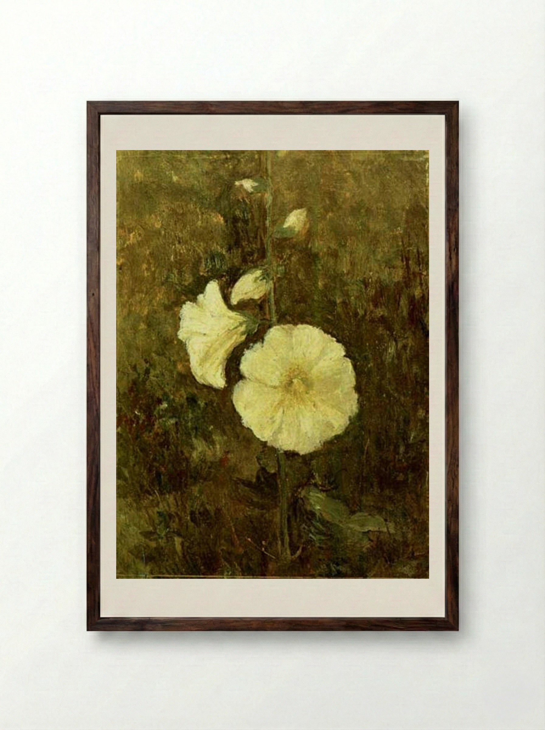 Rose Mallow - Theodor Pallady - Framed Print Dark Wood