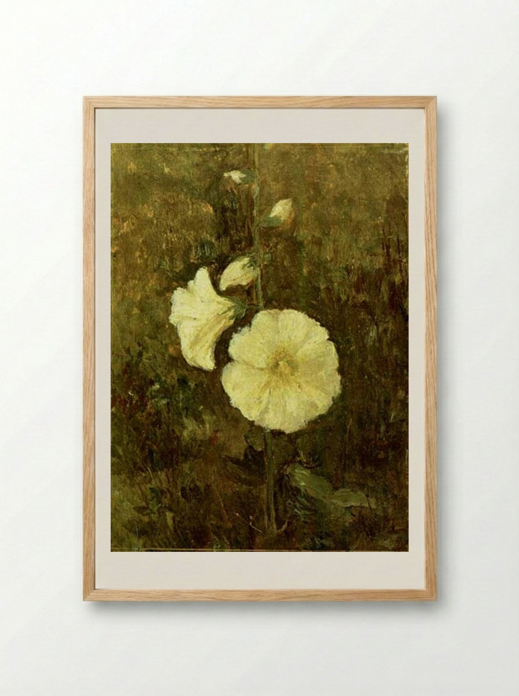 Rose Mallow - Theodor Pallady - Framed Print Wood