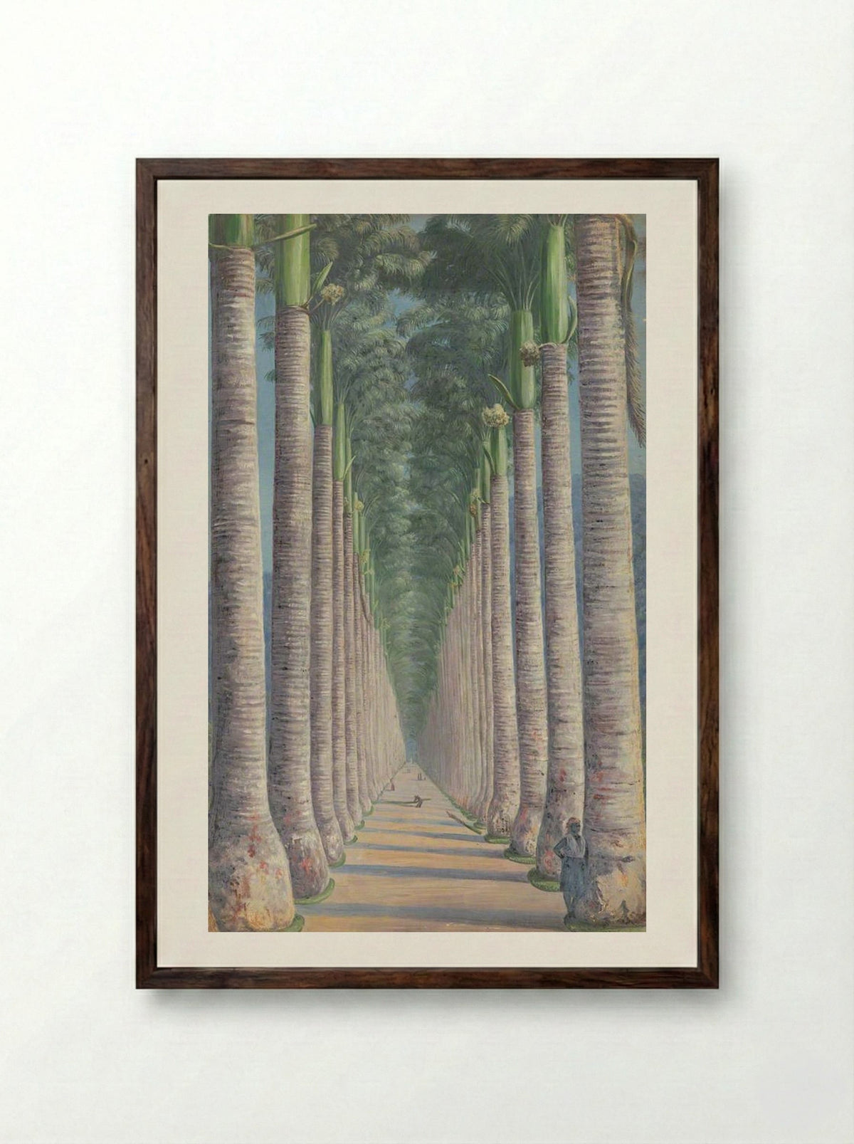 Royal Palm Avenue - Marianne North - Framed Print Dark Wood