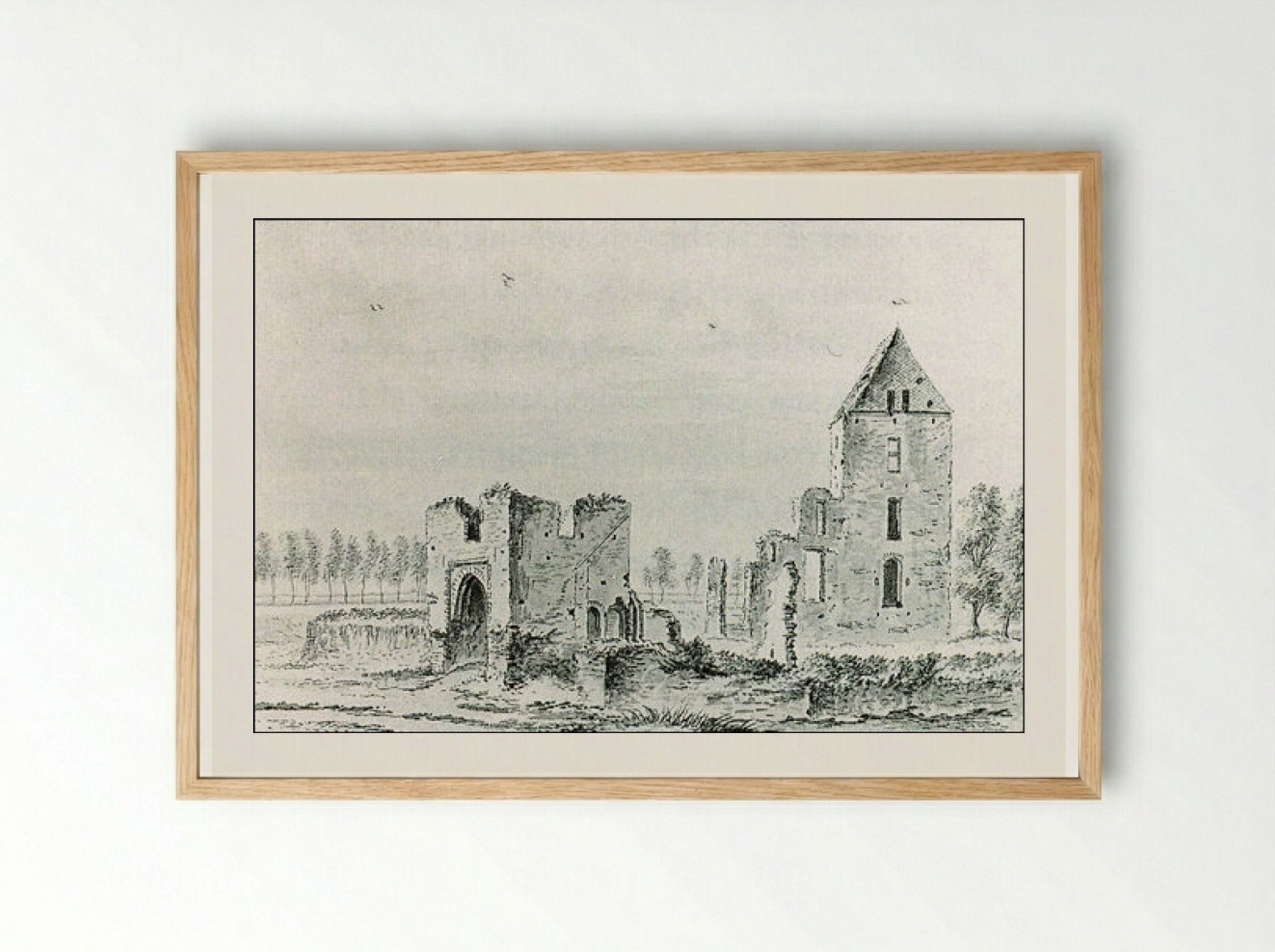 Ruïne van het huis te Kleef bij Haarlem - Abraham Rademaker - Framed Print Wood