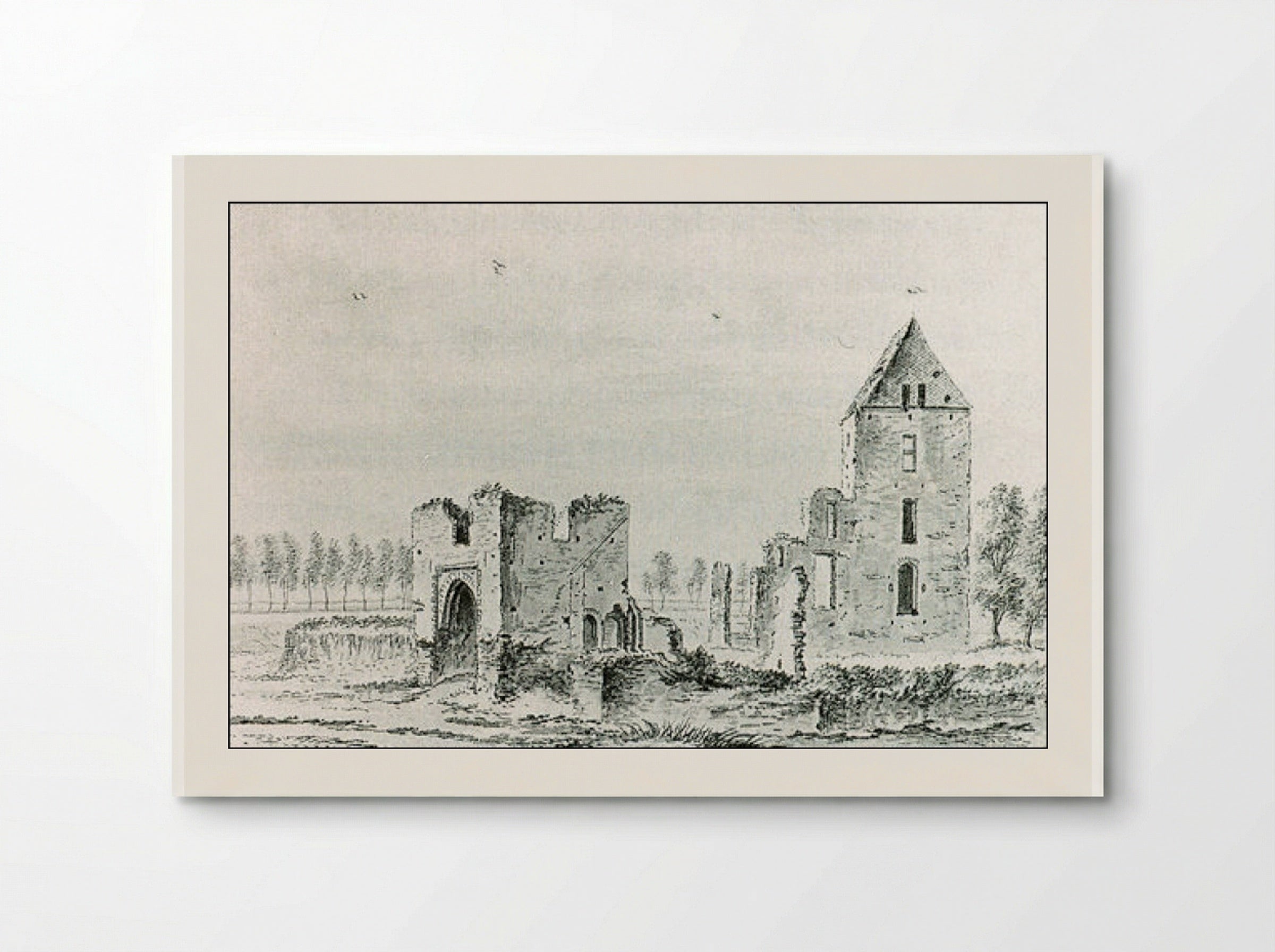 Ruïne van het huis te Kleef bij Haarlem - Abraham Rademaker - Poster