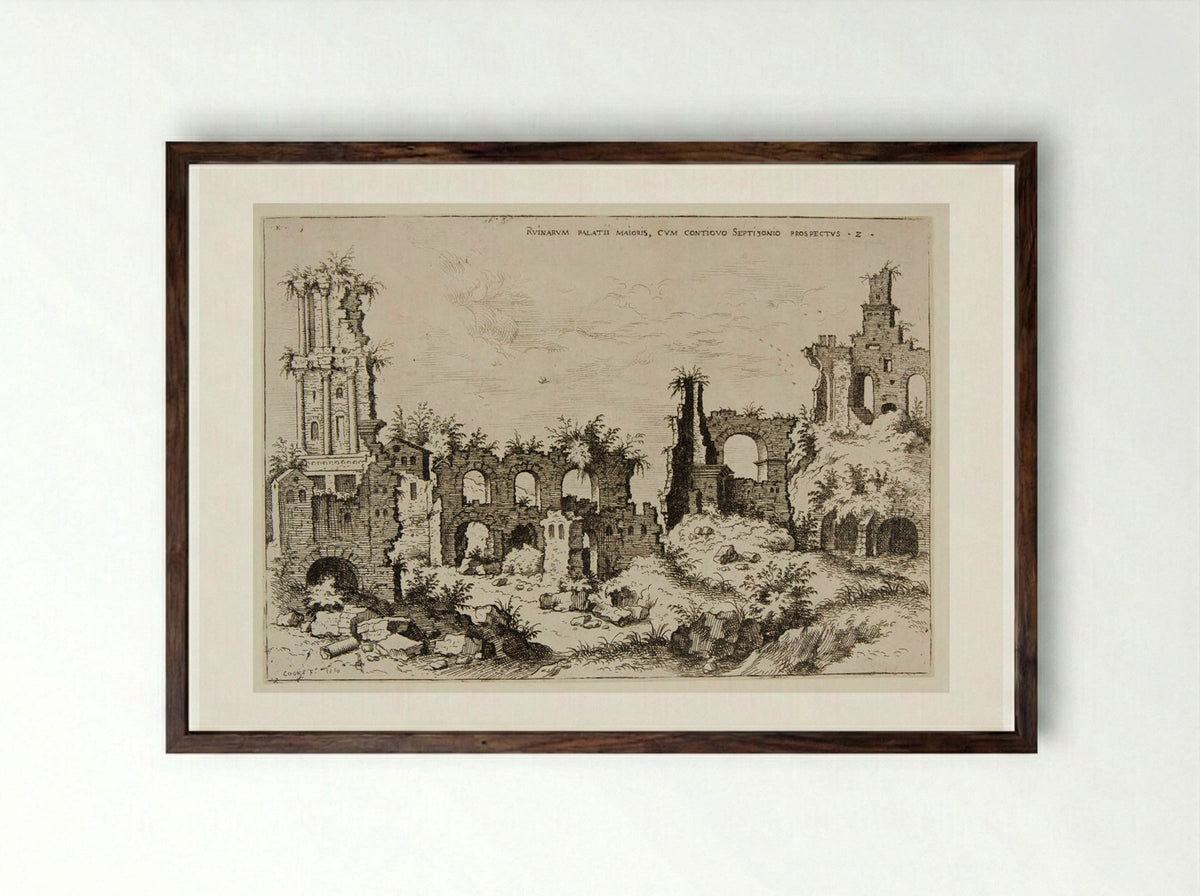 Ruins on the Palatine Hill with the Septizonium - Hieronymus Cock - Framed Print Dark Wood