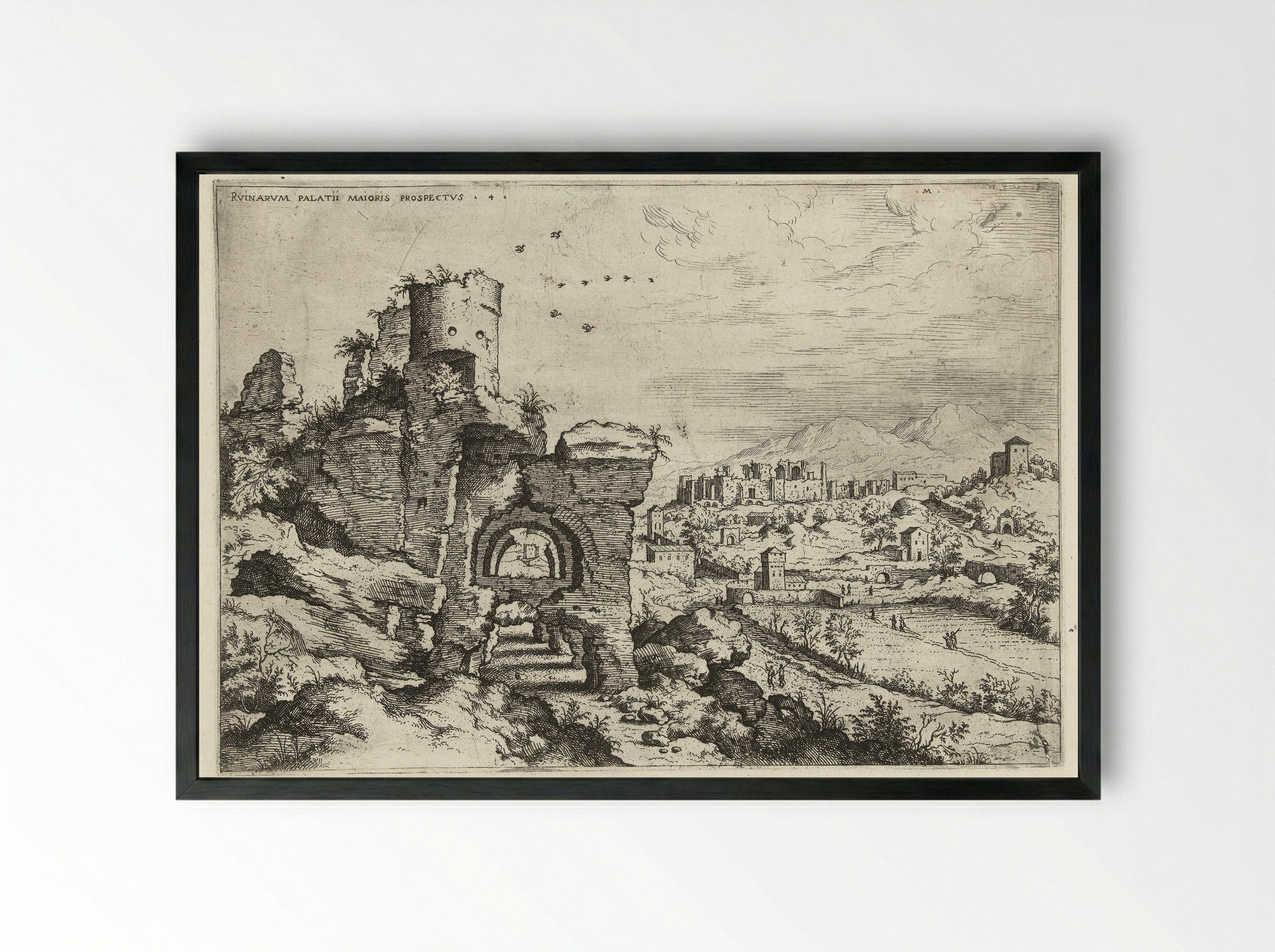 Ruinvarum Palatii Maioris Prospectus - Hieronymus Cock - Framed Print Black