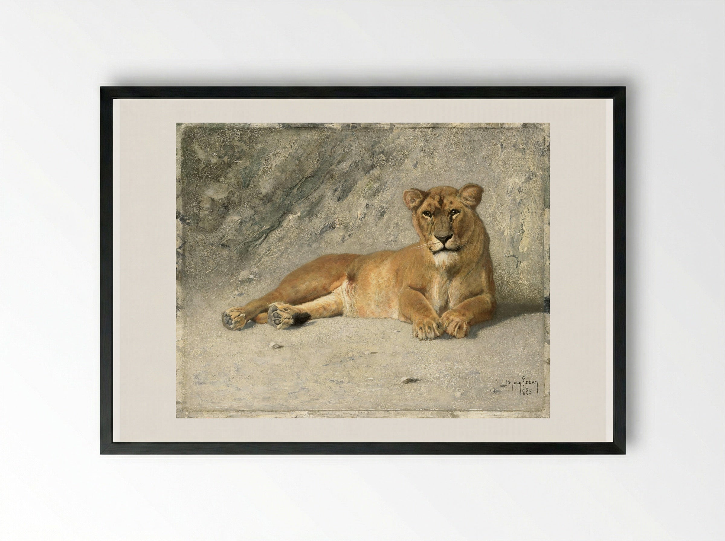 Rustende leeuwin (Resting Lioness) - Jan van Essen - Framed Print Black