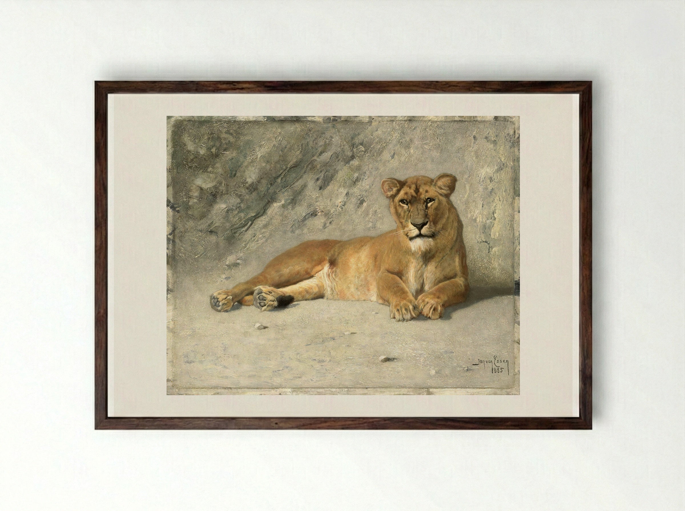 Rustende leeuwin (Resting Lioness) - Jan van Essen - Framed Print Dark Wood