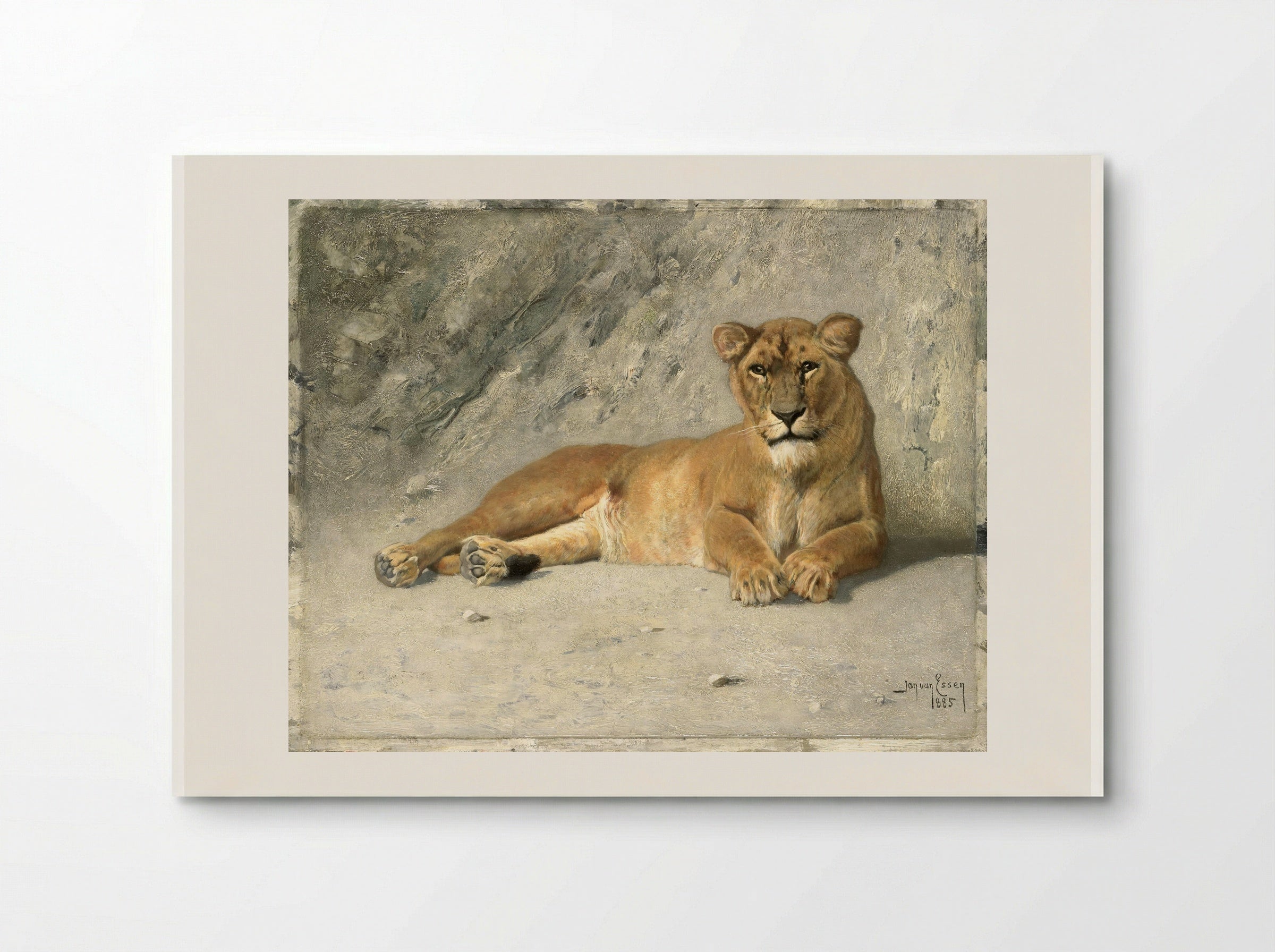 Rustende leeuwin (Resting Lioness) - Jan van Essen - Poster