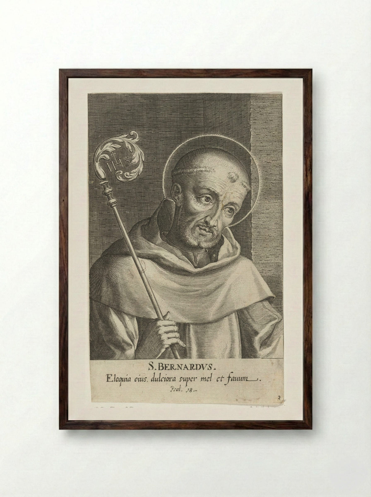 Saint Bernard of Clairvaux - Dominicus Custos - Framed Print Dark Wood
