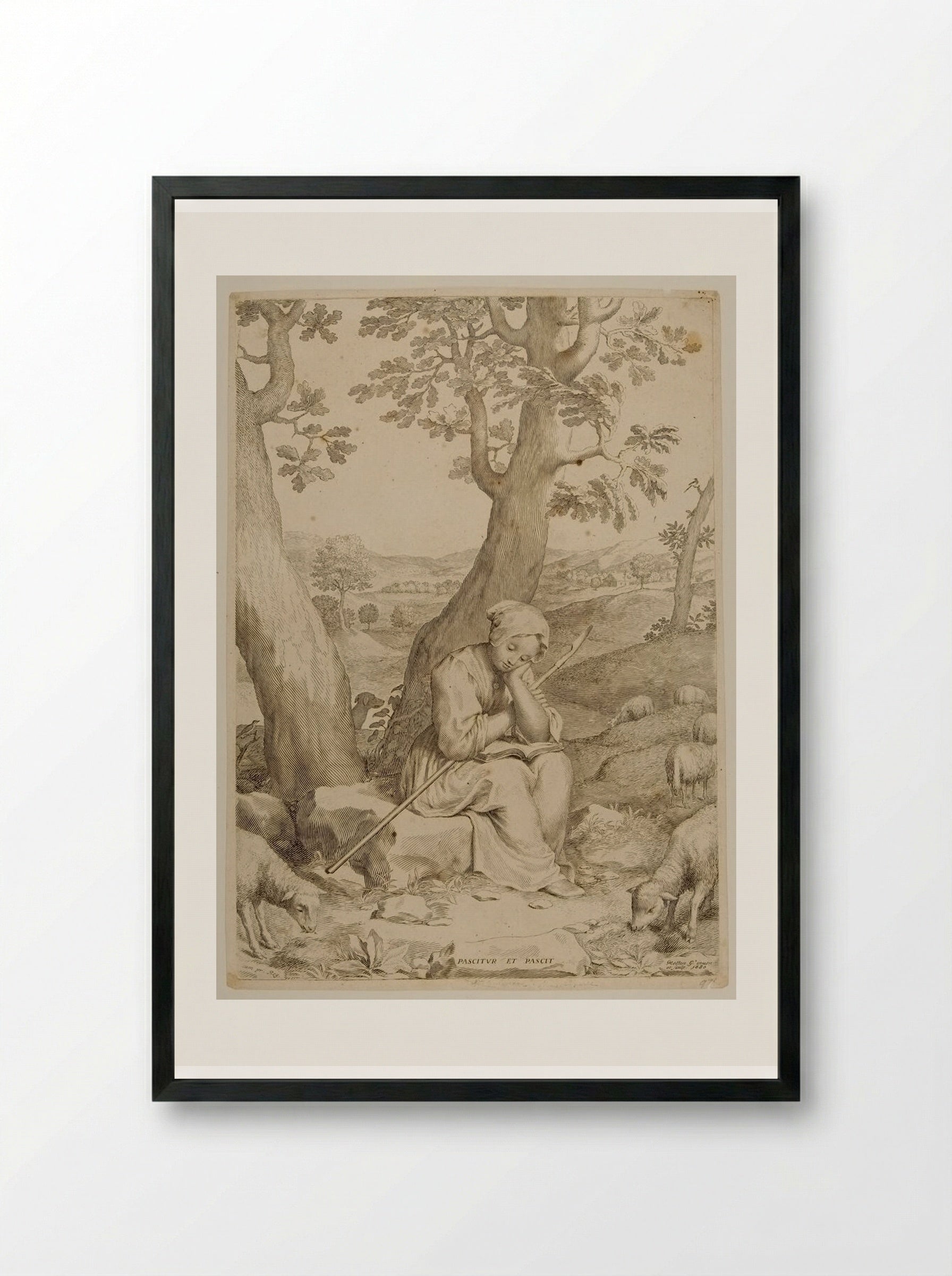 Saint Genevieve as a Shepherdess - Claude Mellan - Framed Print Black