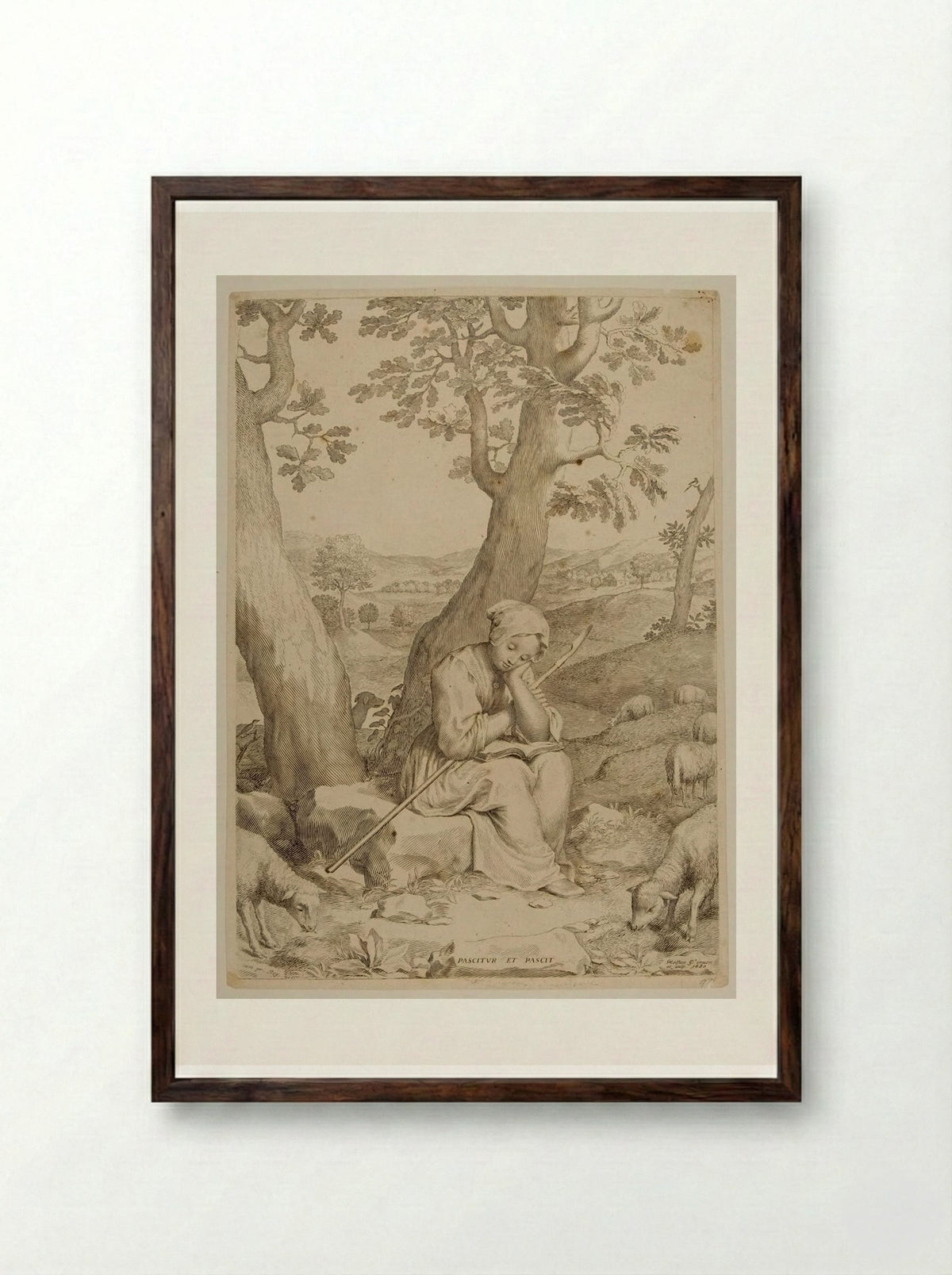 Saint Genevieve as a Shepherdess - Claude Mellan - Framed Print Dark Wood