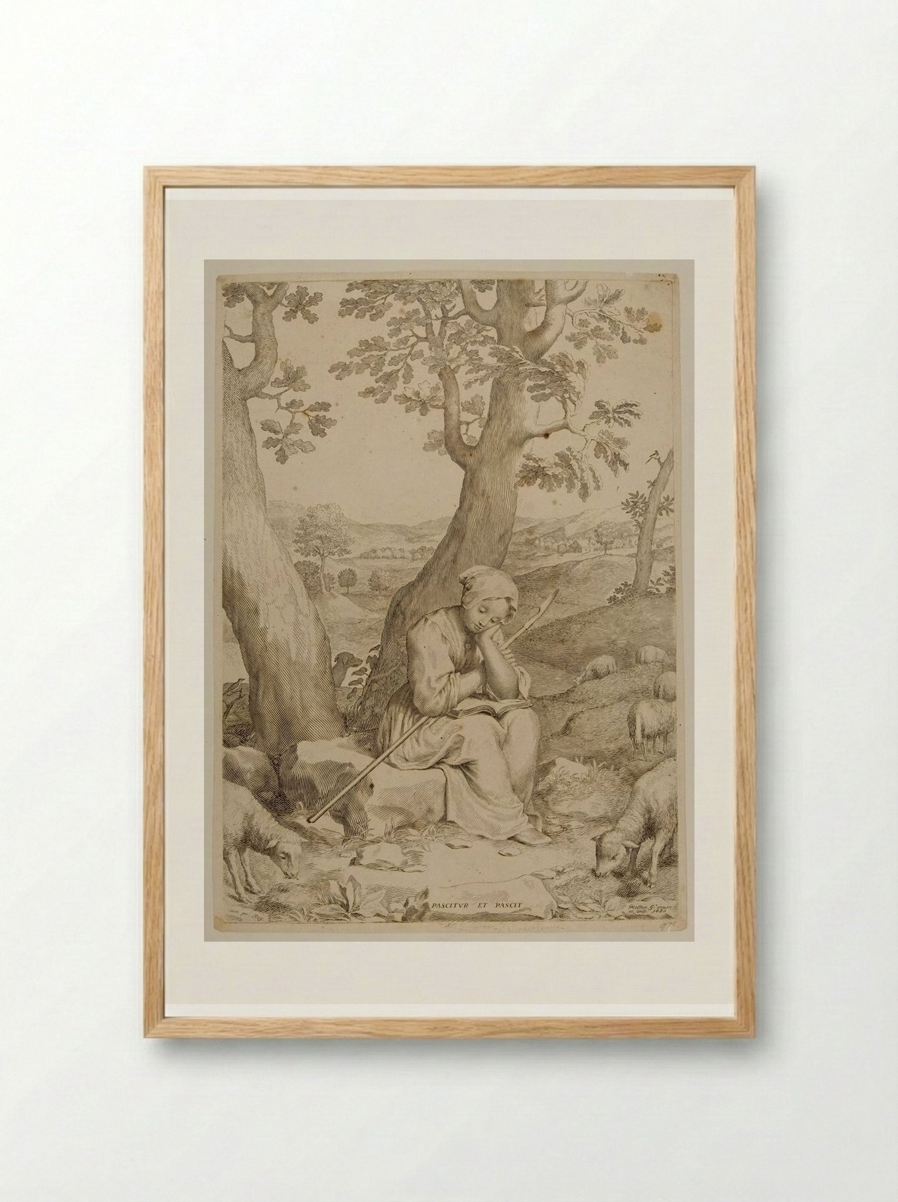 Saint Genevieve as a Shepherdess - Claude Mellan - Framed Print Wood