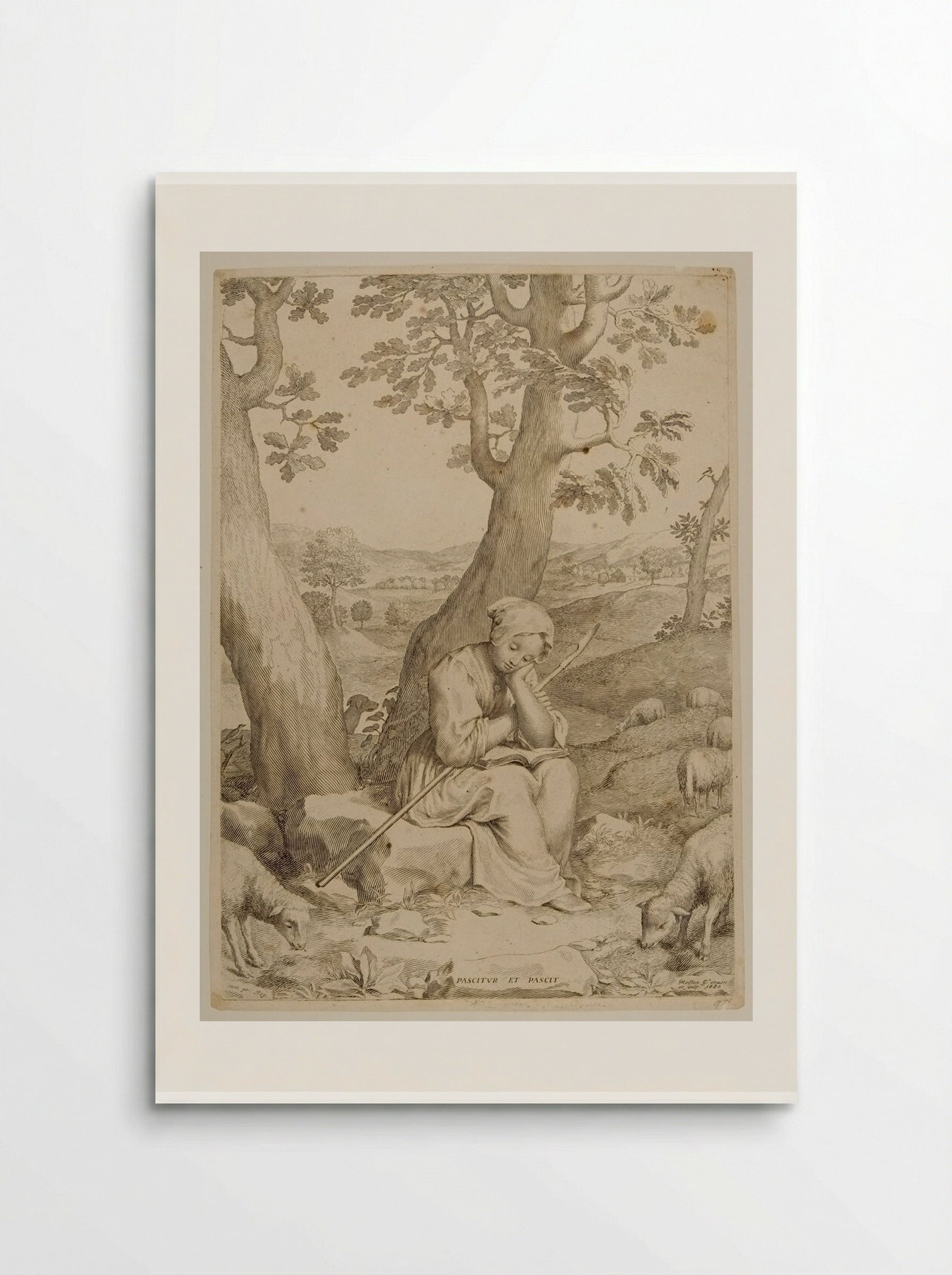 Saint Genevieve as a Shepherdess - Claude Mellan - Poster