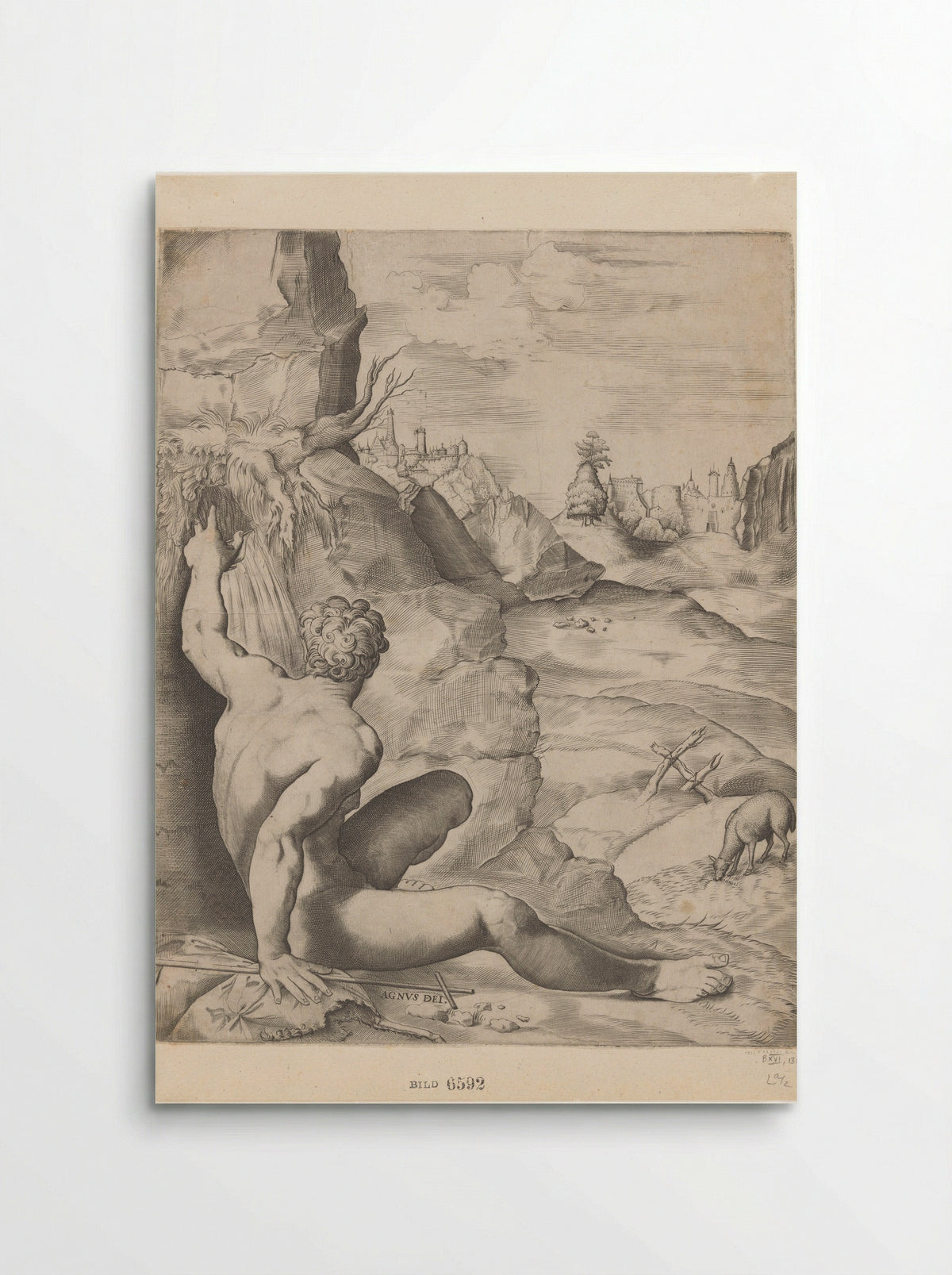 Saint John the Baptist in the Wilderness - Giulio Sanuto - Poster