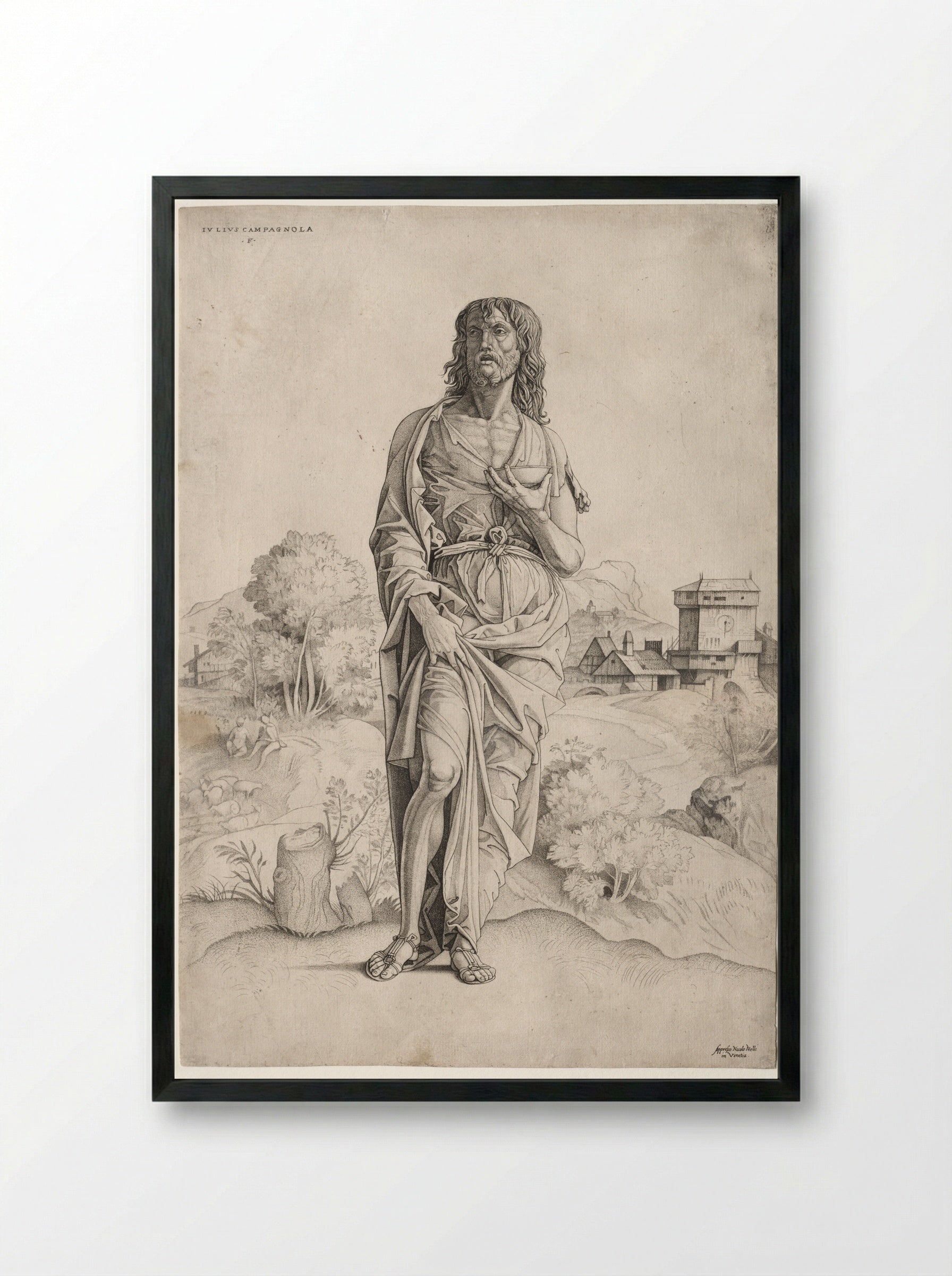 Saint John the Baptist - Giulio Campagnola - Framed Print Black