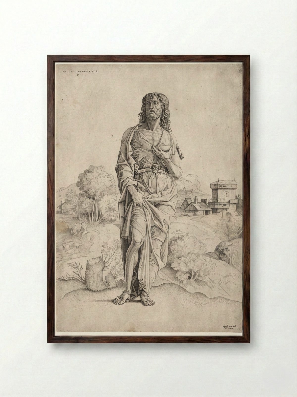 Saint John the Baptist - Giulio Campagnola - Framed Print Dark Wood