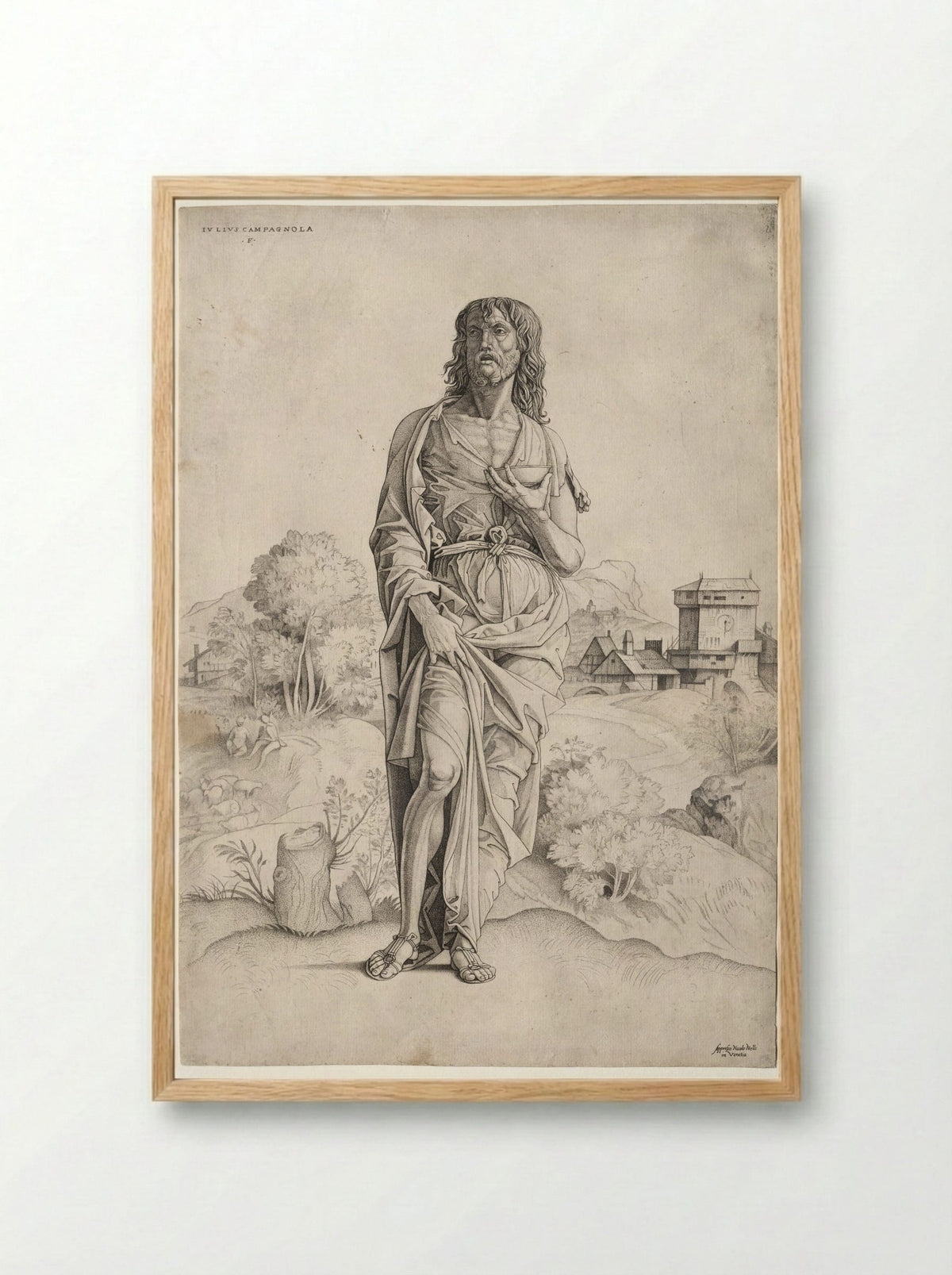Saint John the Baptist - Giulio Campagnola - Framed Print Wood