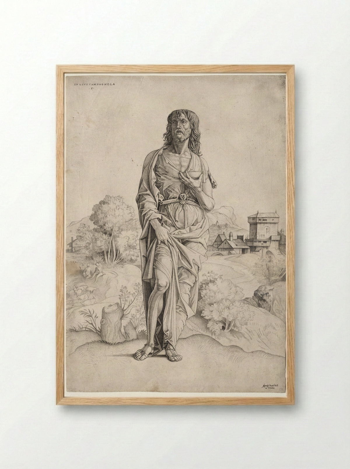 Saint John the Baptist - Giulio Campagnola - Framed Print Wood
