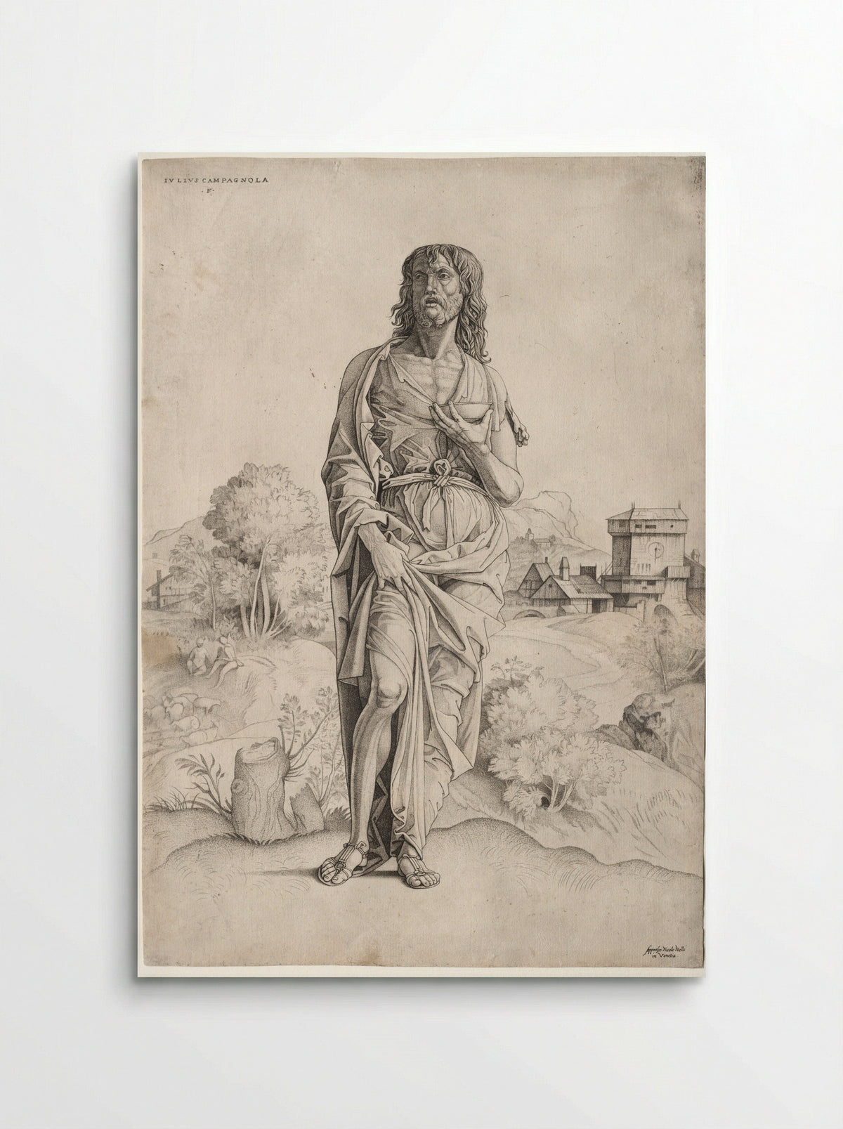 Saint John the Baptist - Giulio Campagnola - Poster