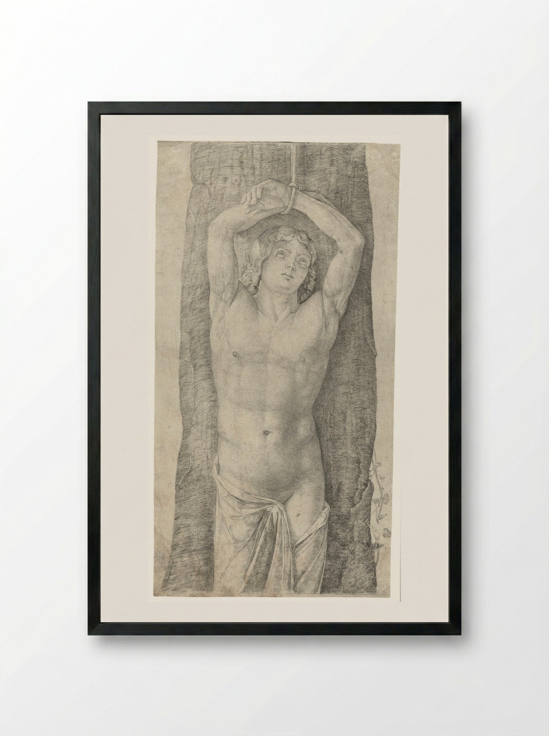 Saint Sebastian Bound to a Tree - Jacopo de' Barbari - Framed Print Black
