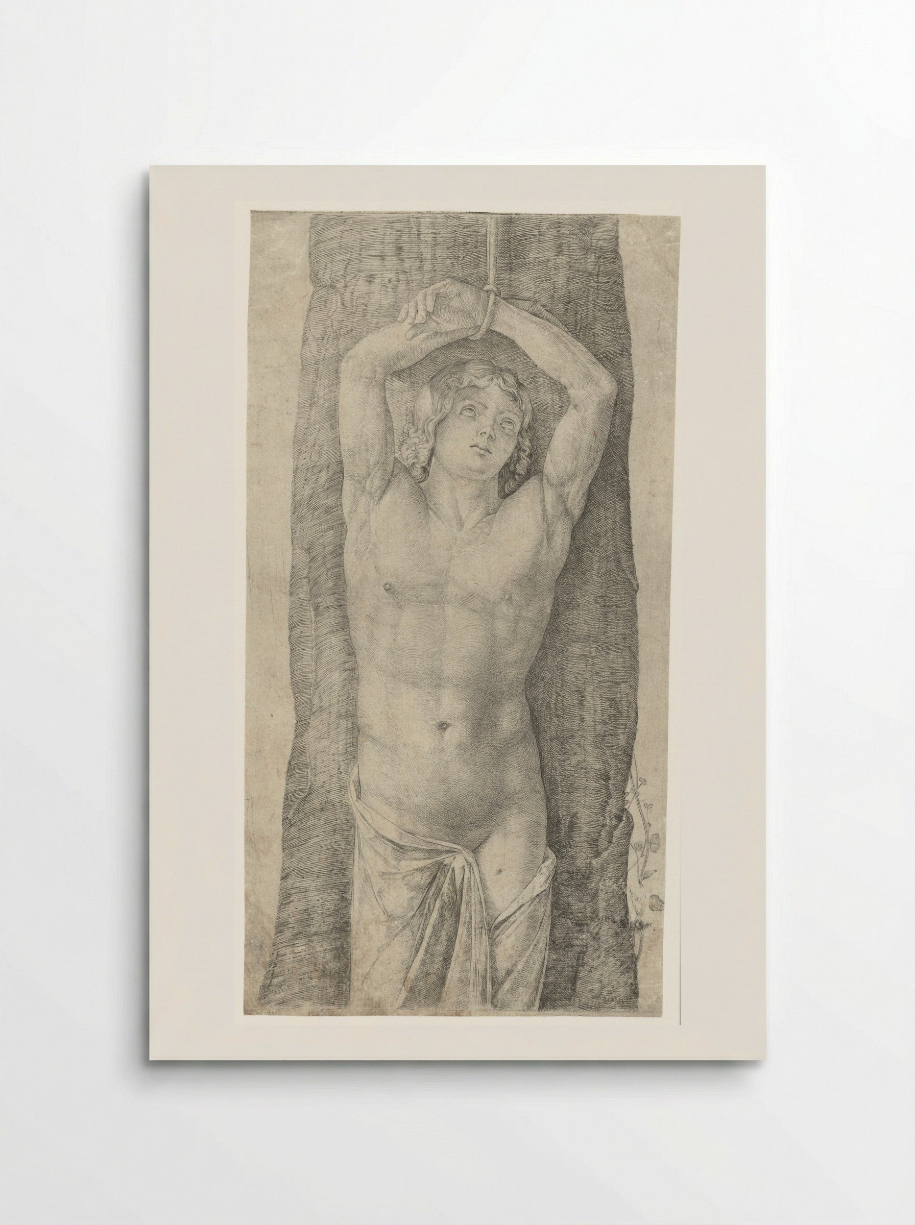 Saint Sebastian Bound to a Tree - Jacopo de' Barbari - Poster
