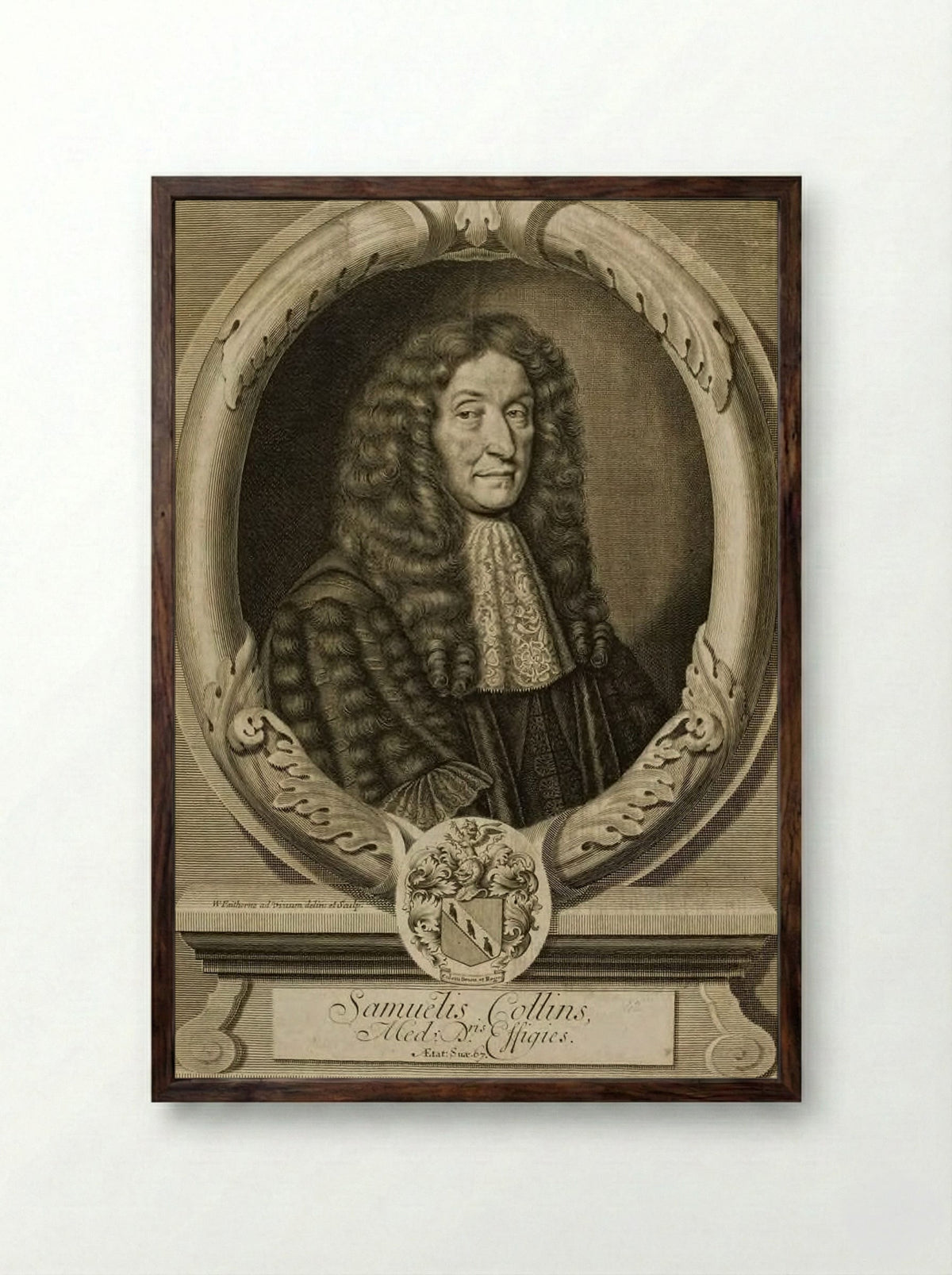 Samuel Collins - William Faithorne the Elder - Framed Print Dark Wood
