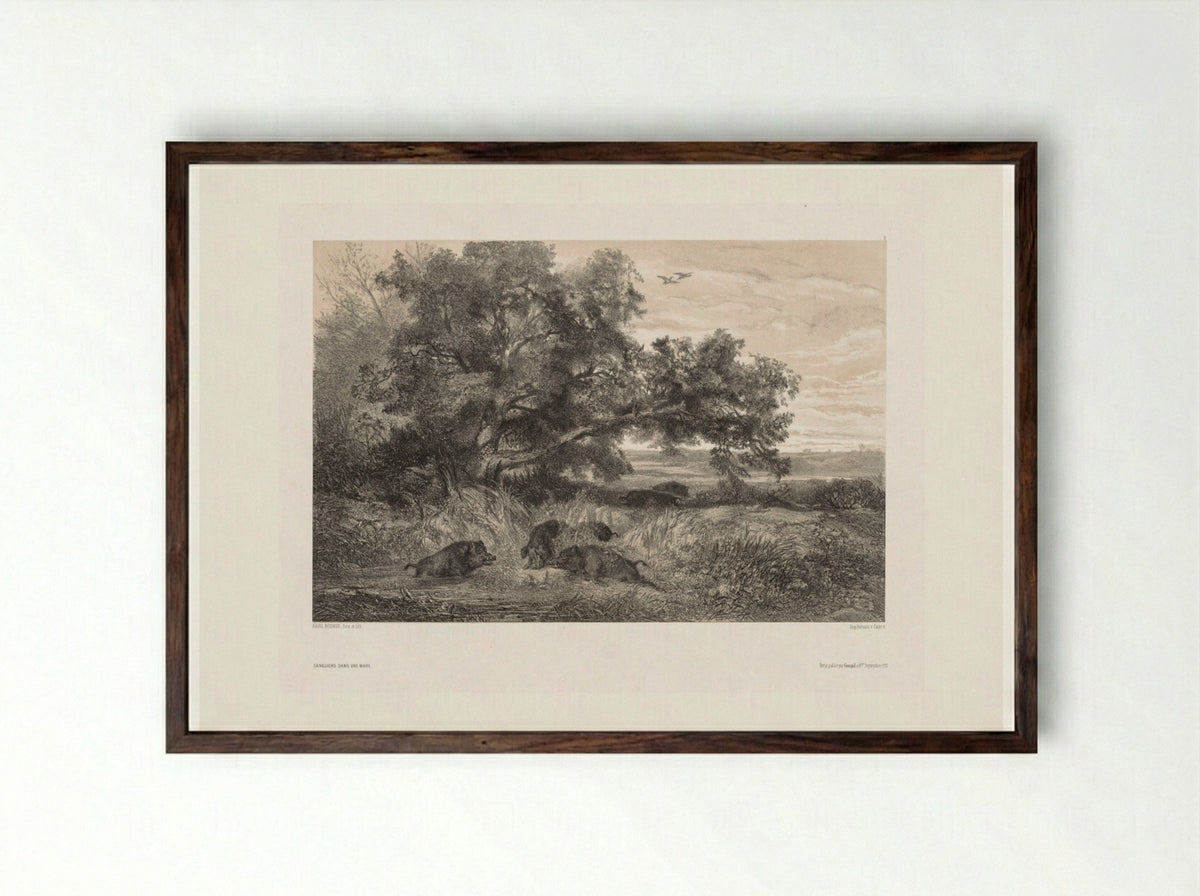 Sangliers dans une mare (Wild Boar in a Pond) - Karl Bodmer - Framed Print Dark Wood