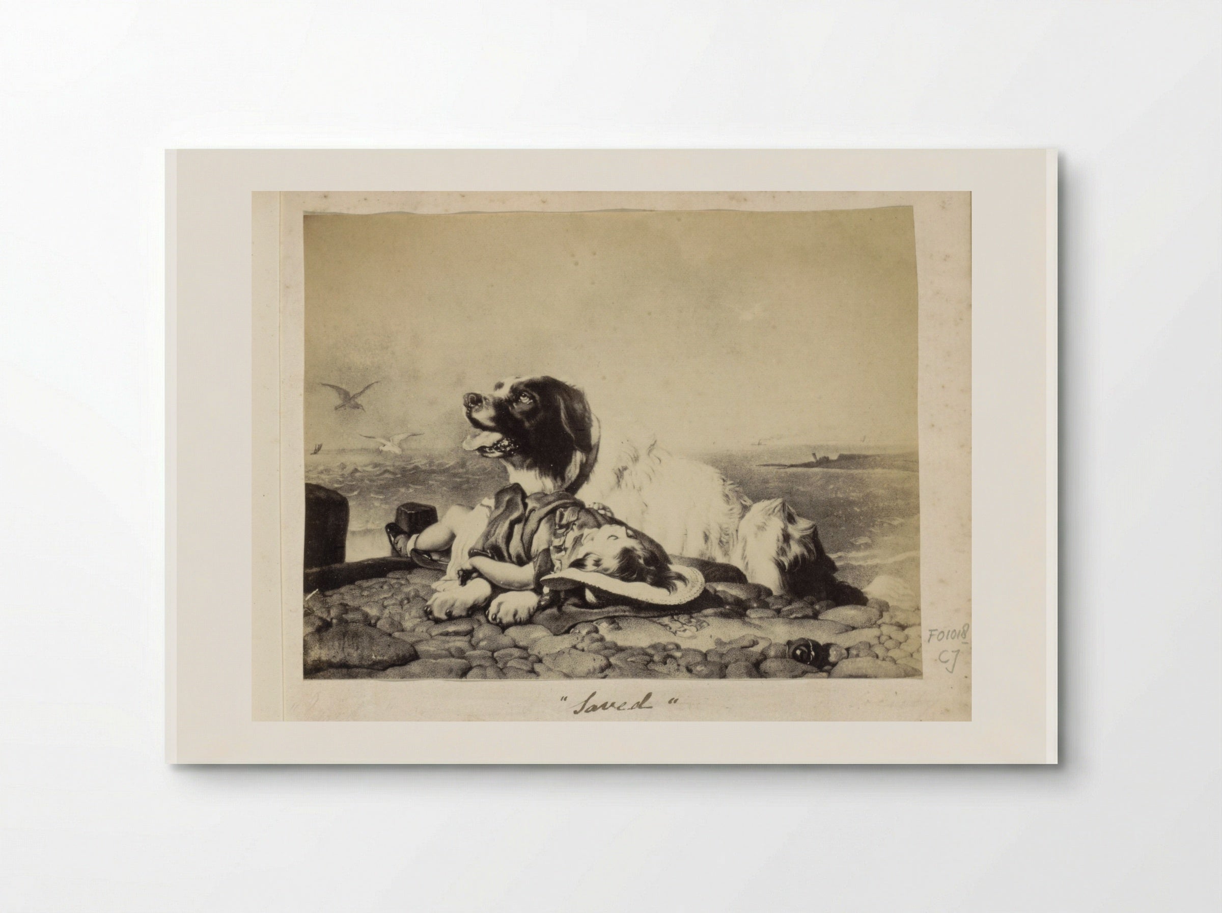 Saved - Sir Edwin Henry Landseer - Poster