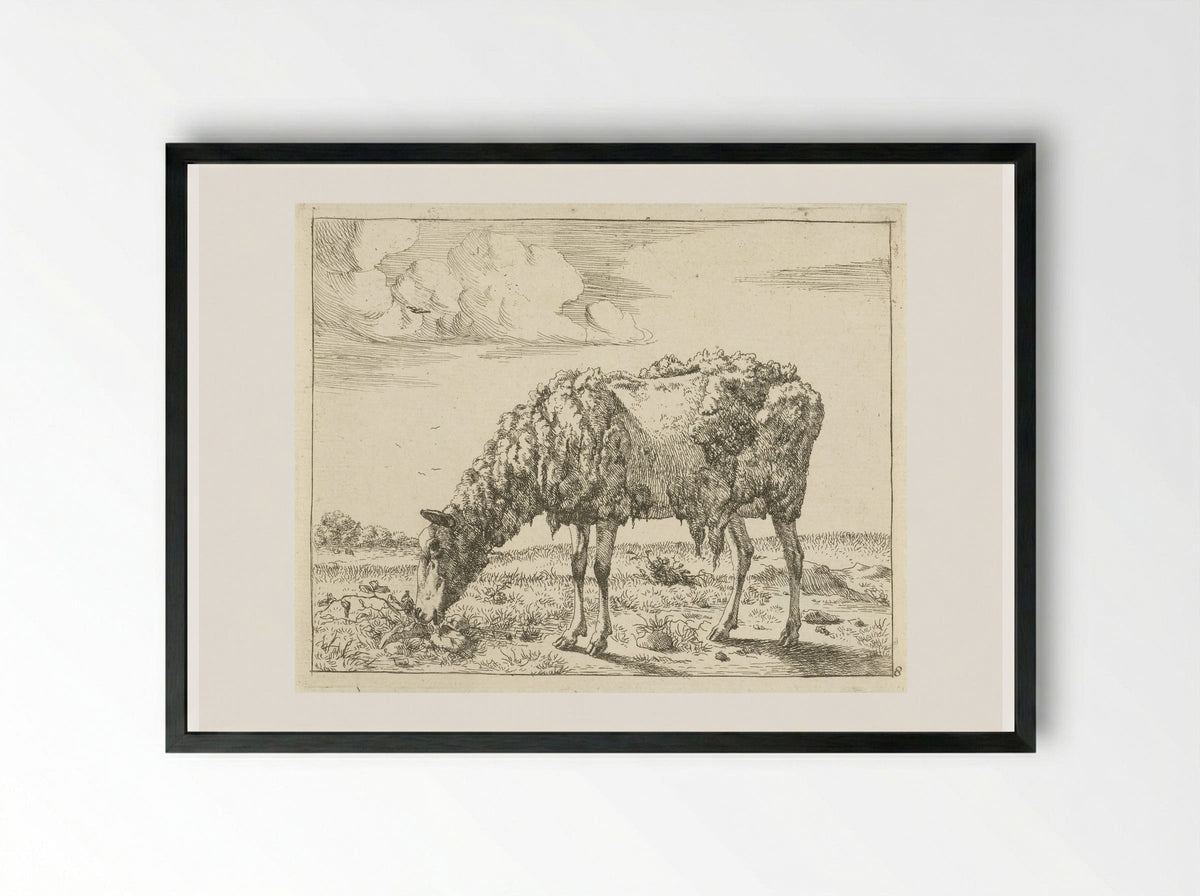 Schaap (Sheep) - Marcus de Bye - Framed Print Black
