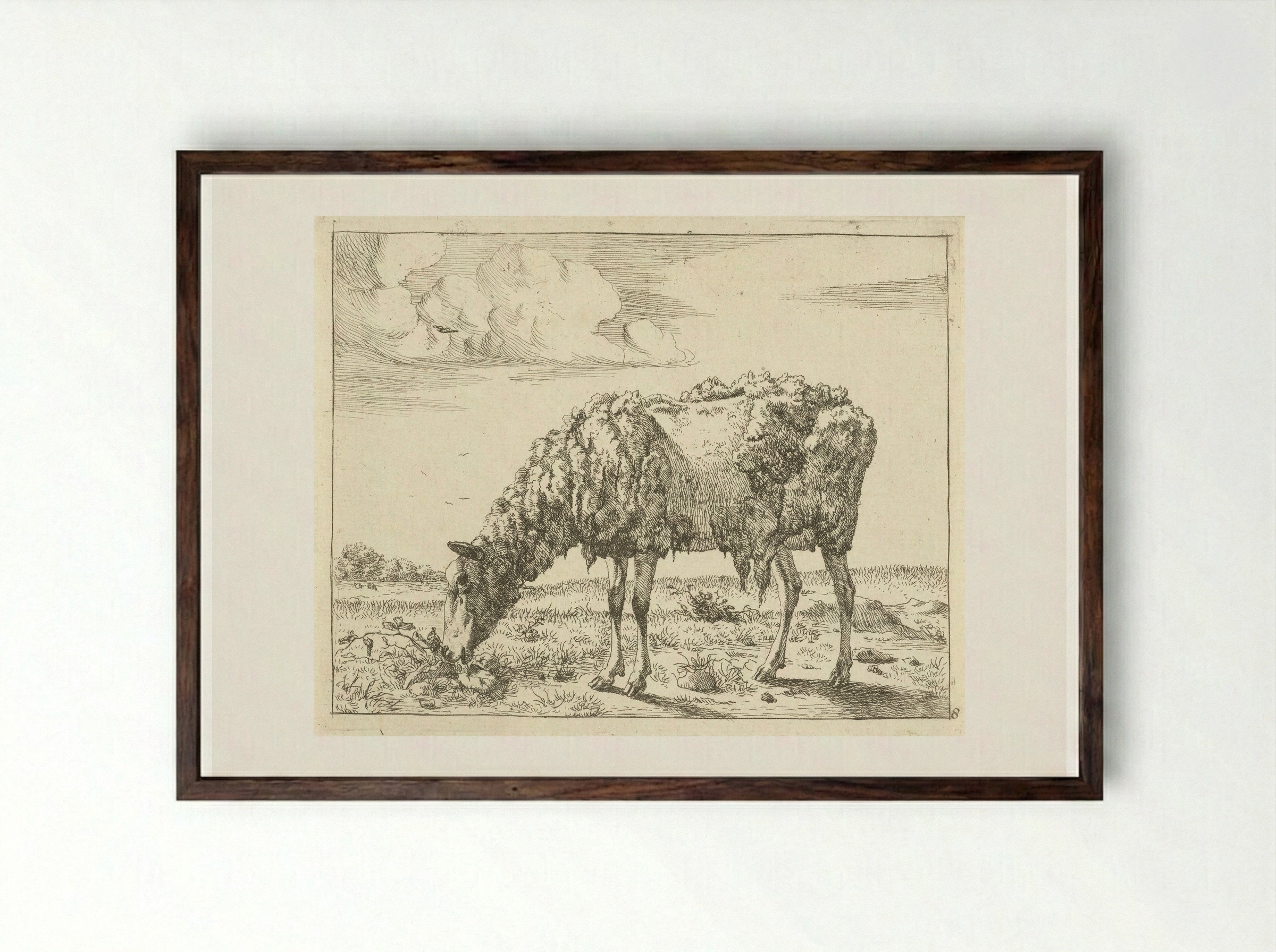Schaap (Sheep) - Marcus de Bye - Framed Print Dark Wood