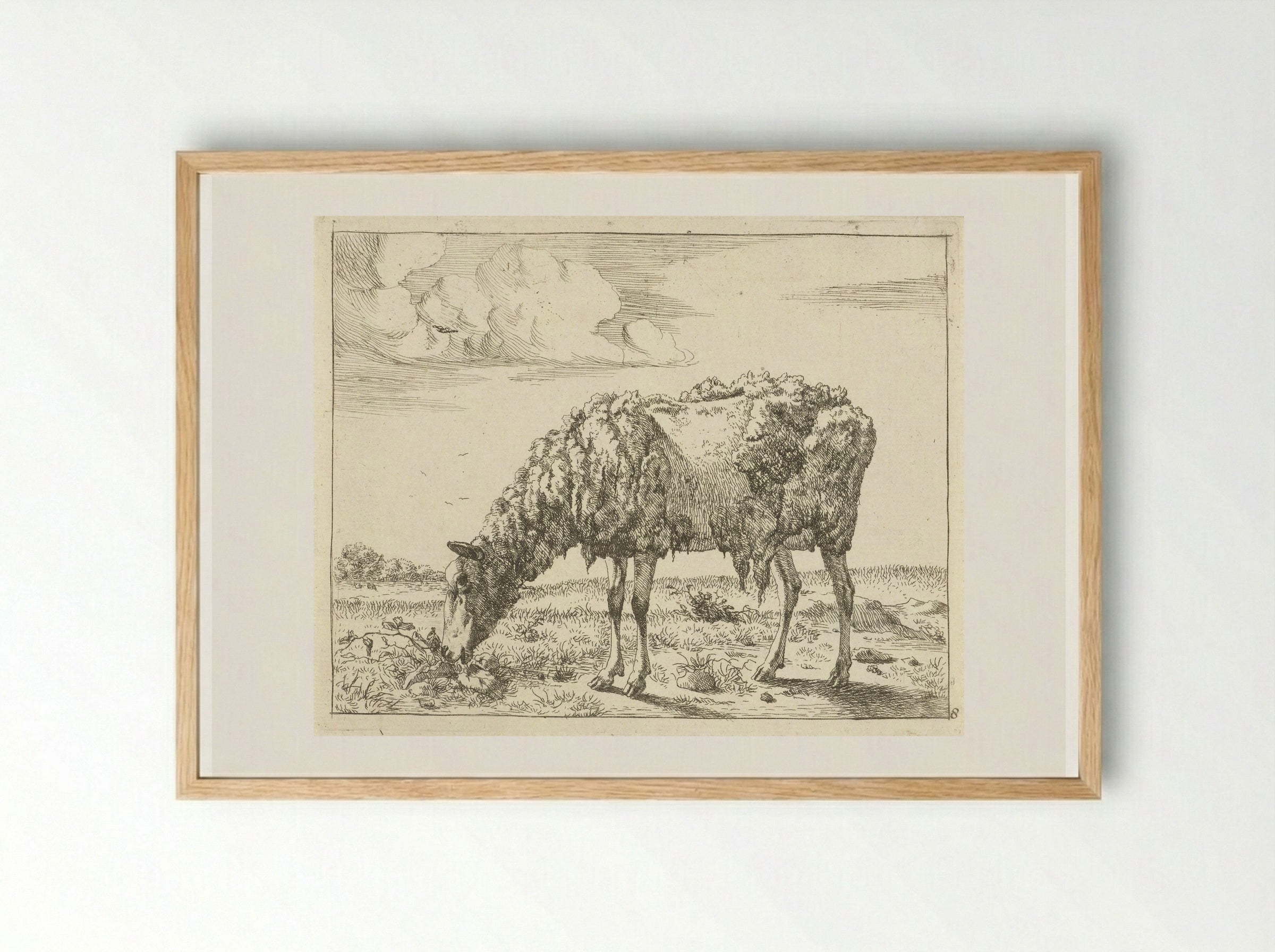 Schaap (Sheep) - Marcus de Bye - Framed Print Wood