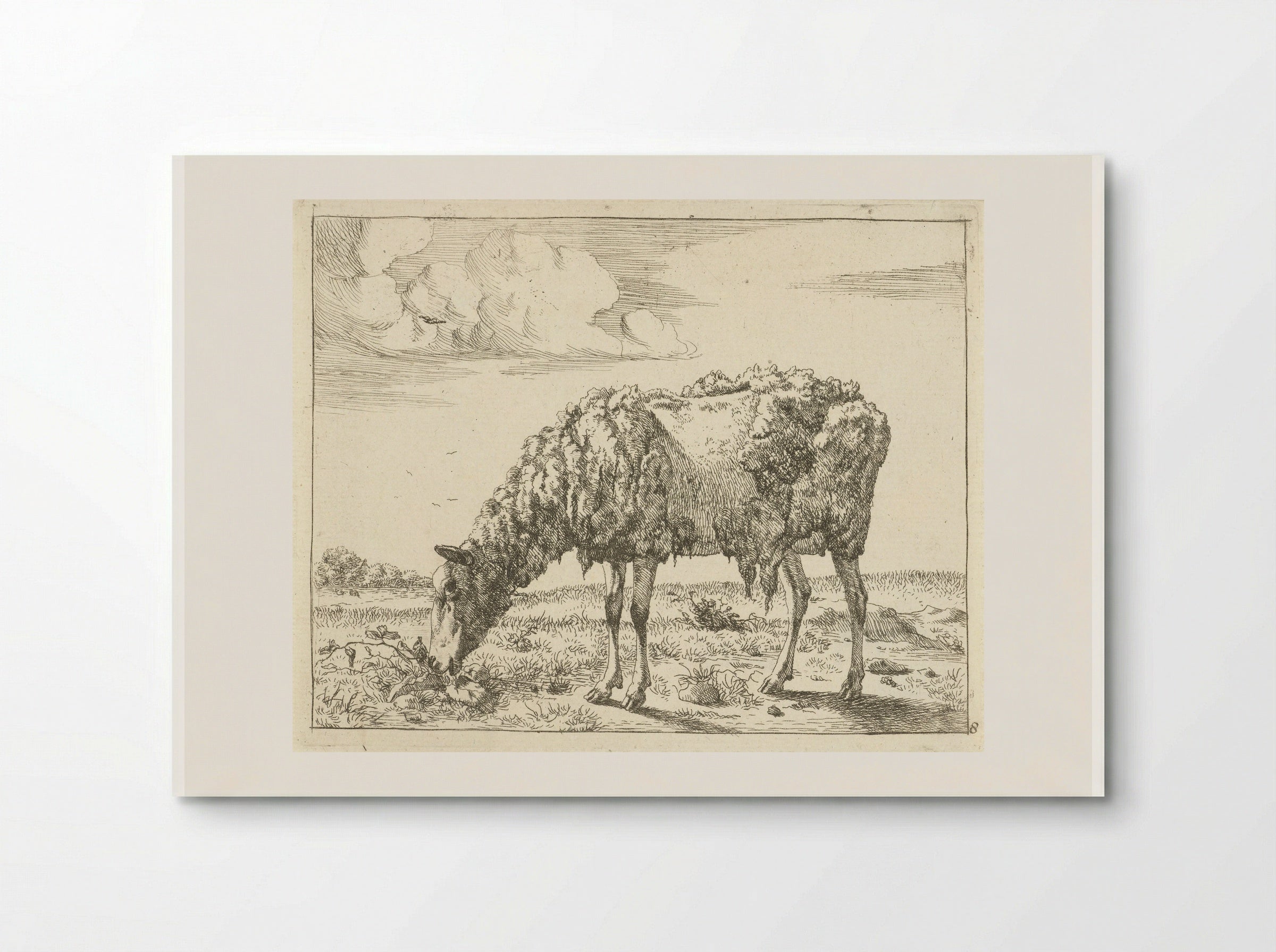 Schaap (Sheep) - Marcus de Bye - Poster