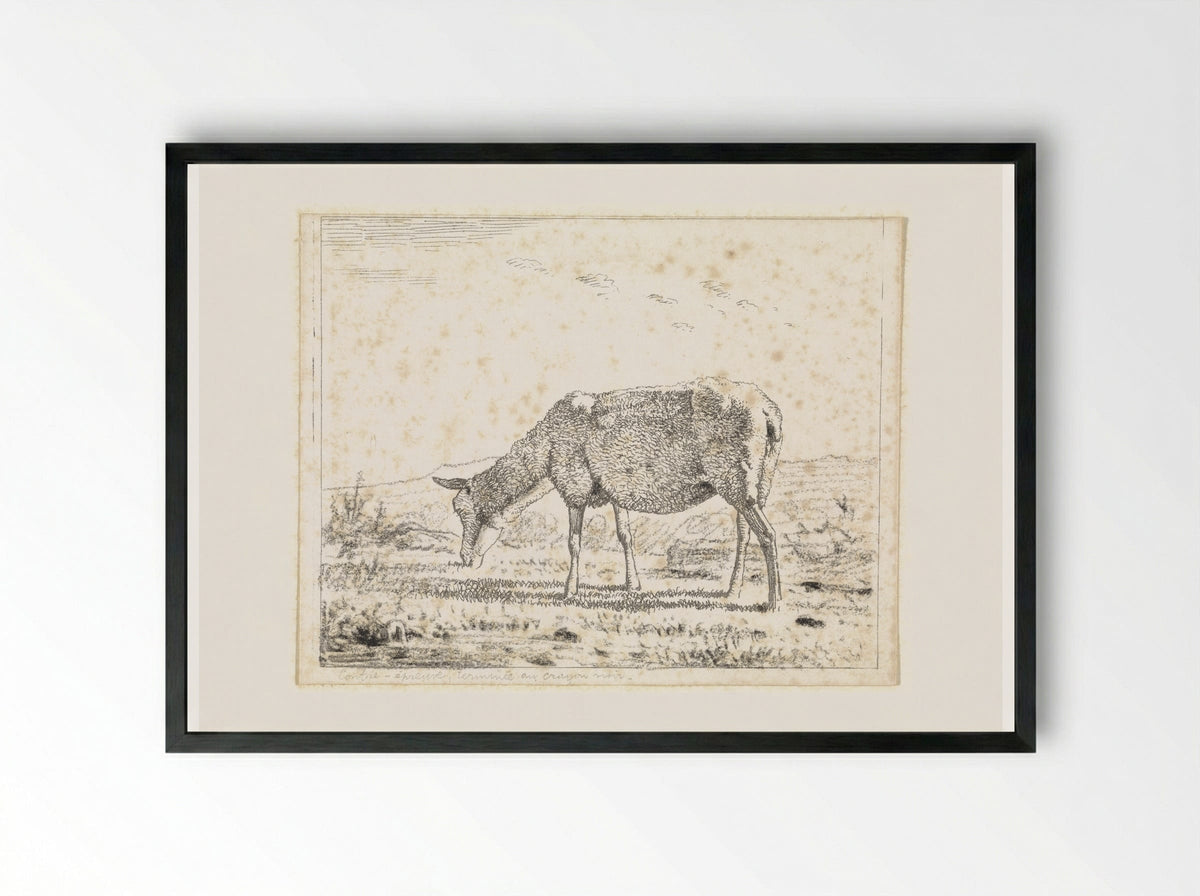 Schaap naar links (Sheep Facing Left) - Wouter Johannes van Troostwijk - Framed Print Black