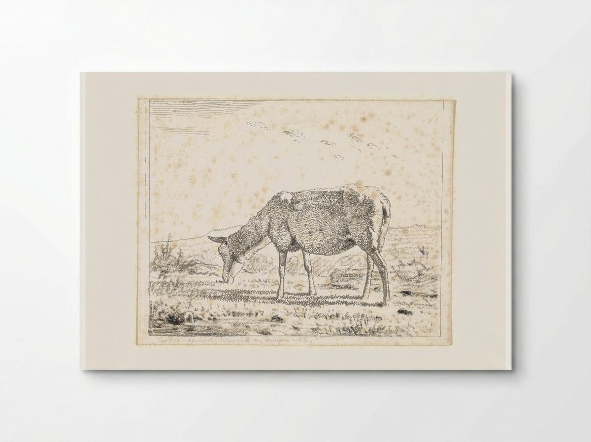 Schaap naar links (Sheep Facing Left) - Wouter Johannes van Troostwijk - Poster