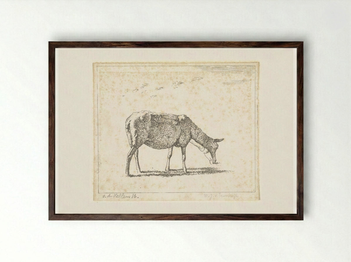 Schaap naar rechts (Sheep Facing Right) - Wouter Johannes van Troostwijk - Framed Print Dark Wood