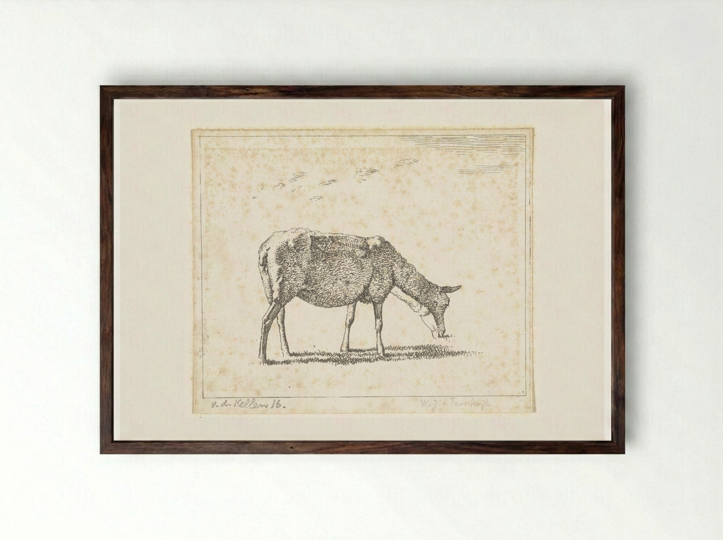 Schaap naar rechts (Sheep Facing Right) - Wouter Johannes van Troostwijk - Framed Print Dark Wood
