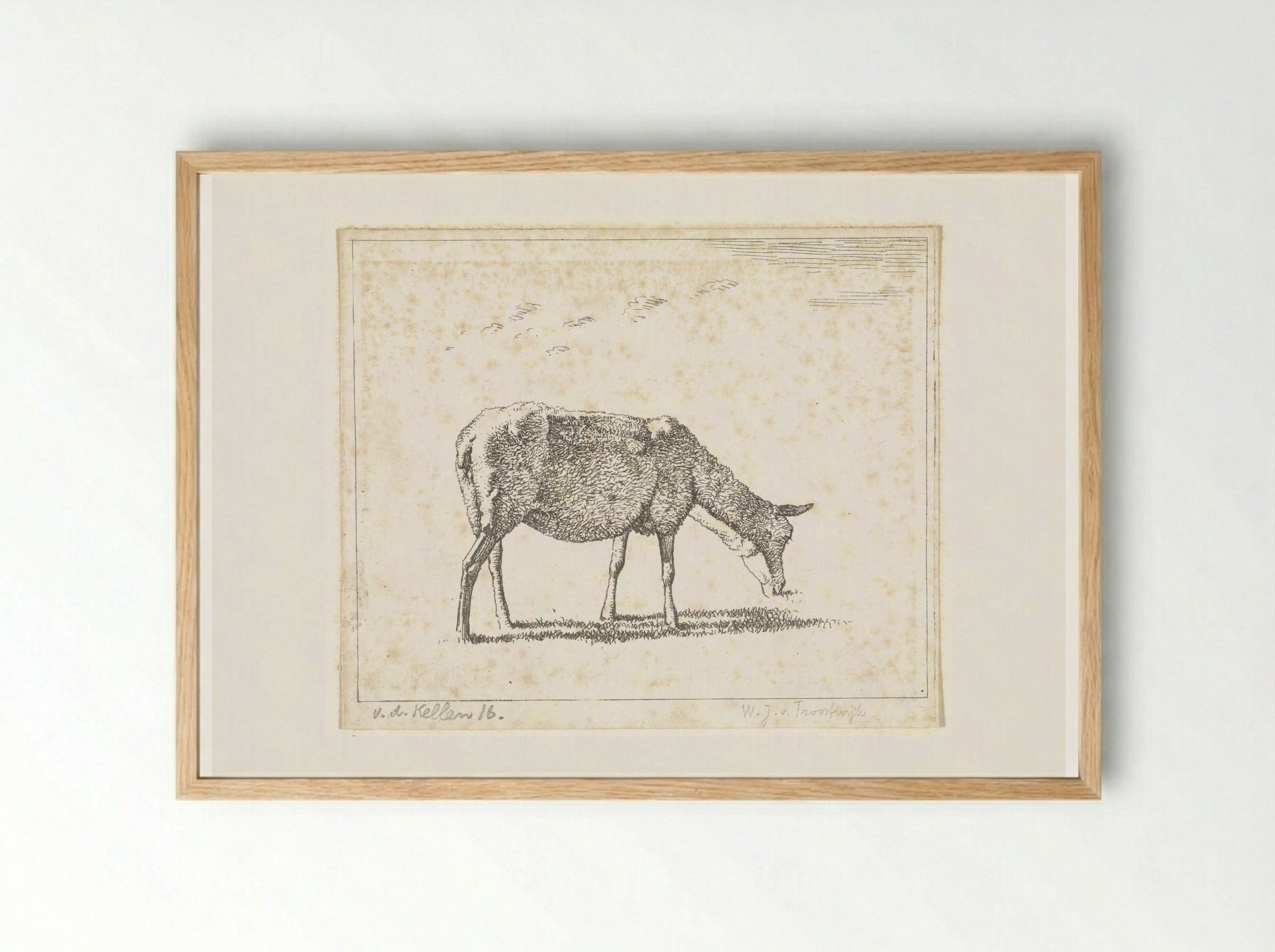 Schaap naar rechts (Sheep Facing Right) - Wouter Johannes van Troostwijk - Framed Print Wood