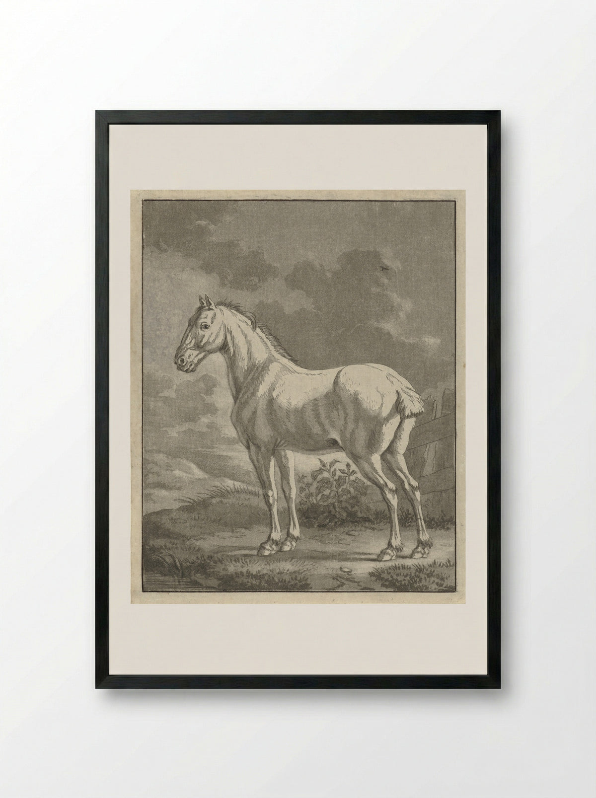 Schimmel in een wei - Tethart Philip Christian Haag - Framed Print Black
