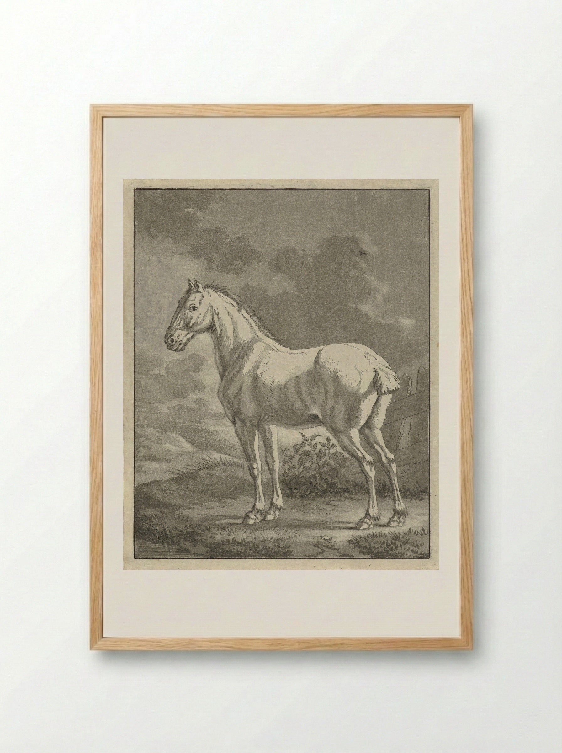 Schimmel in een wei - Tethart Philip Christian Haag - Framed Print Wood