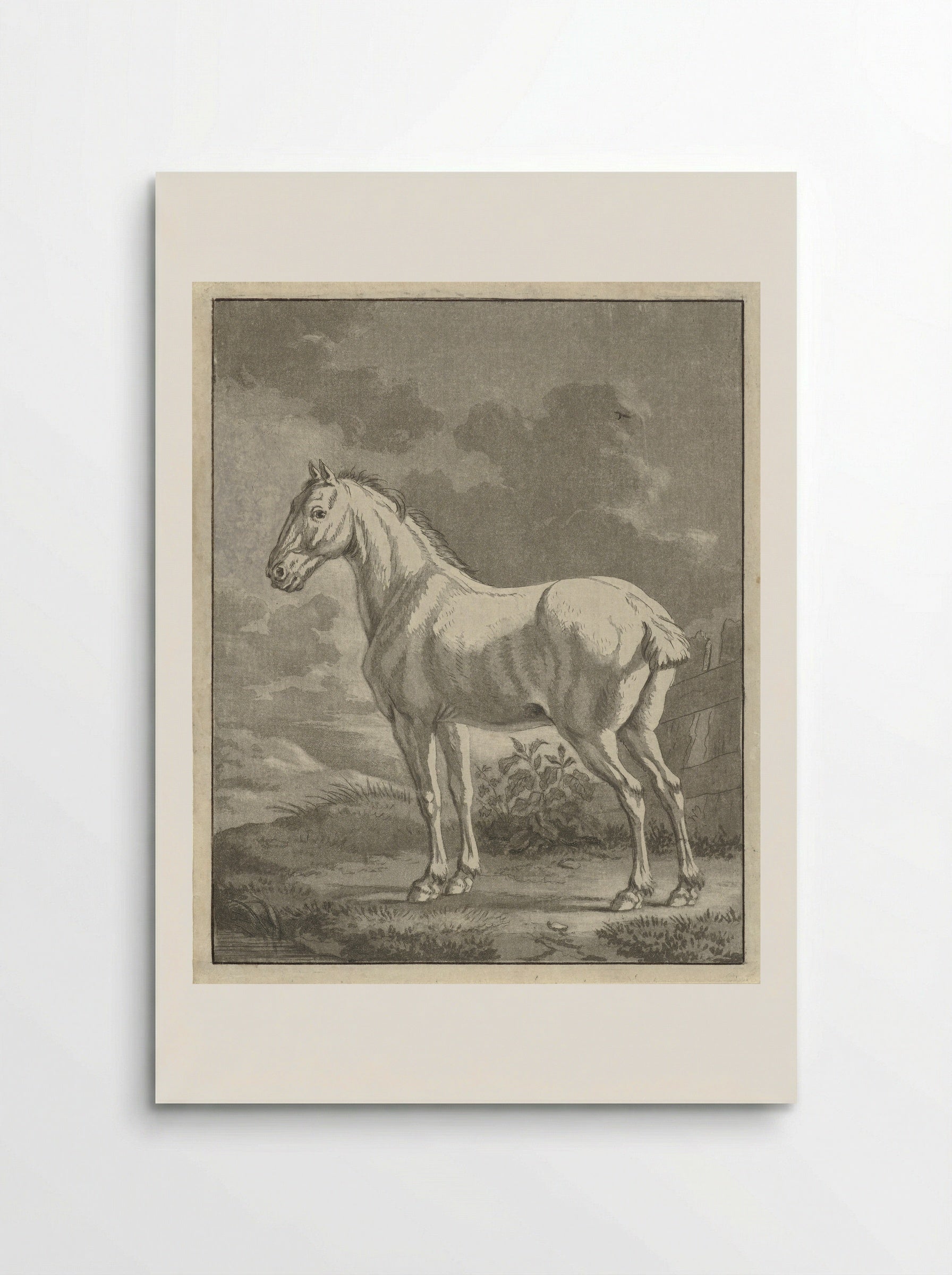 Schimmel in een wei - Tethart Philip Christian Haag - Poster